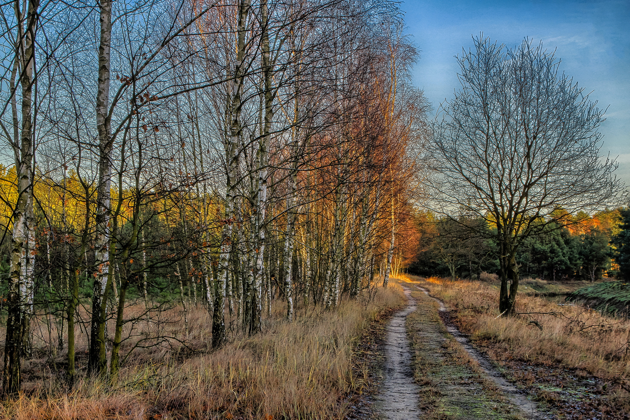 17.0 - 70.0 mm sample photo. Road... photography