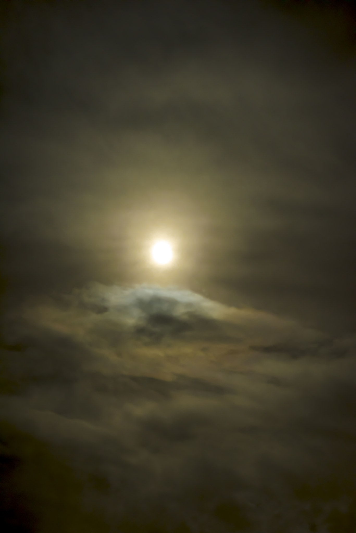 ZEISS Milvus 100mm F2 Macro sample photo. Moonlight photography
