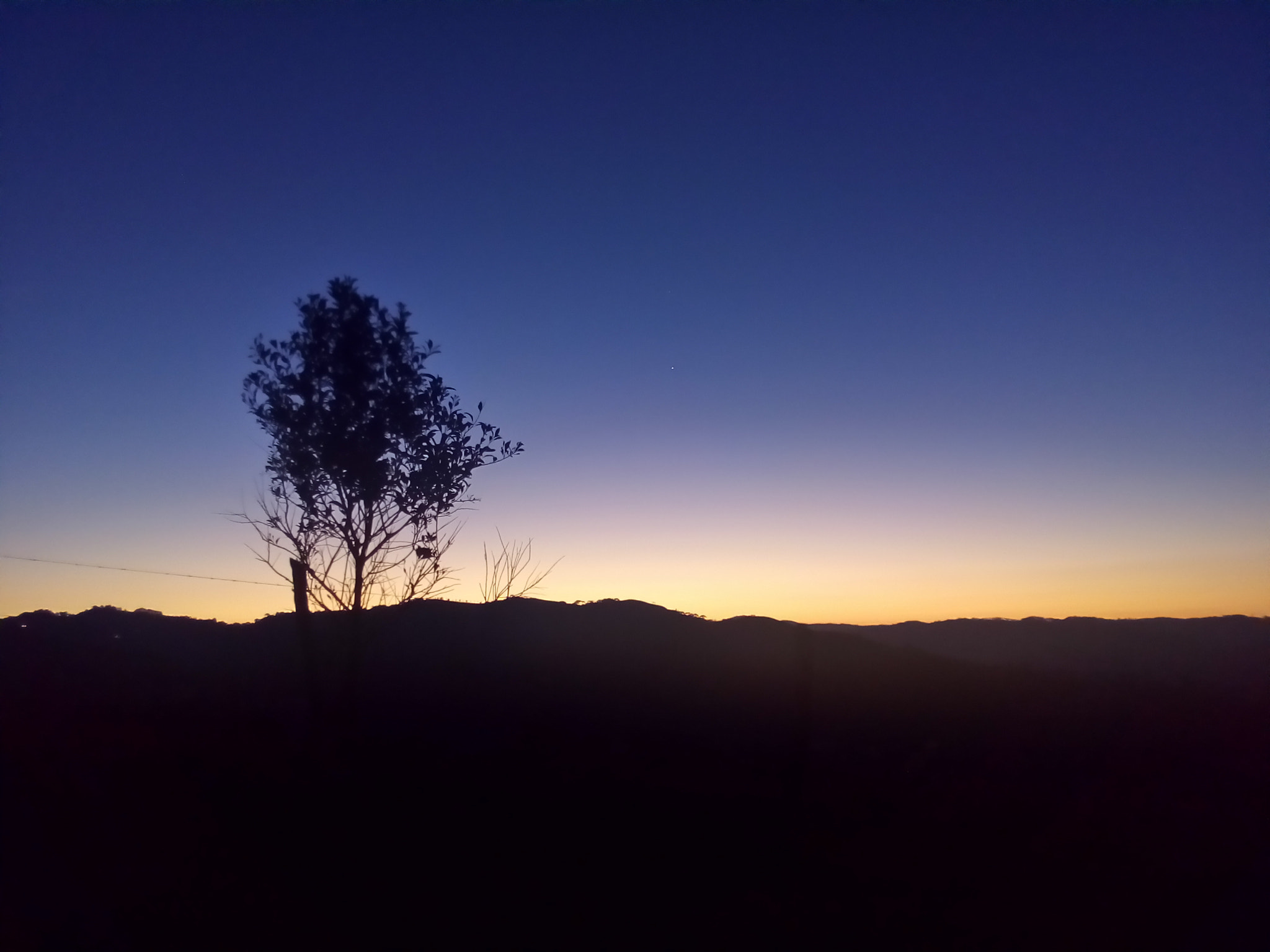 ASUS Zenfone Go (ASUS_Z00VD) sample photo