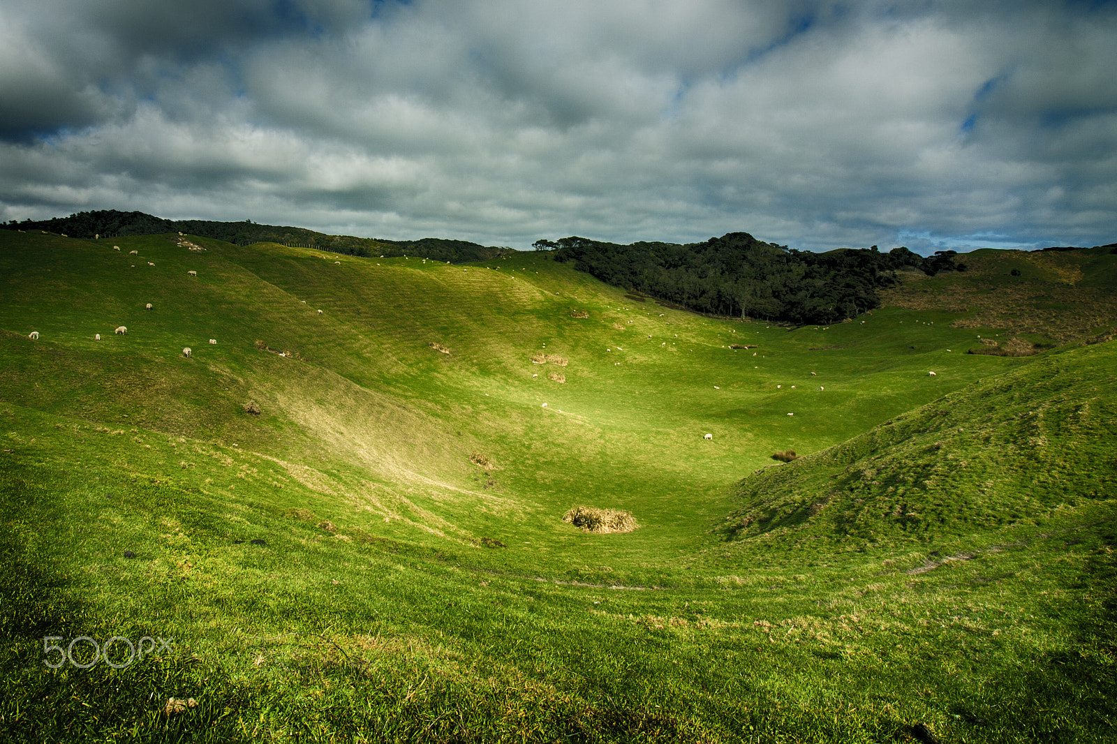 Canon EOS 450D (EOS Rebel XSi / EOS Kiss X2) sample photo. South island landscapes nz photography