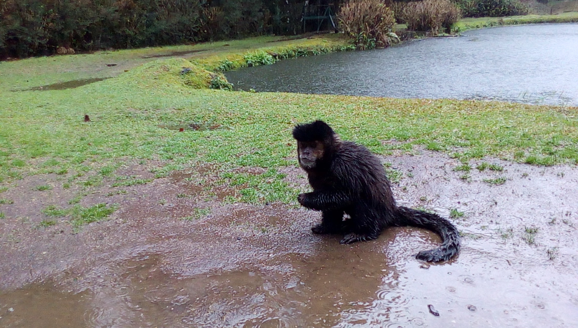 ASUS Zenfone Go (ASUS_Z00VD) sample photo
