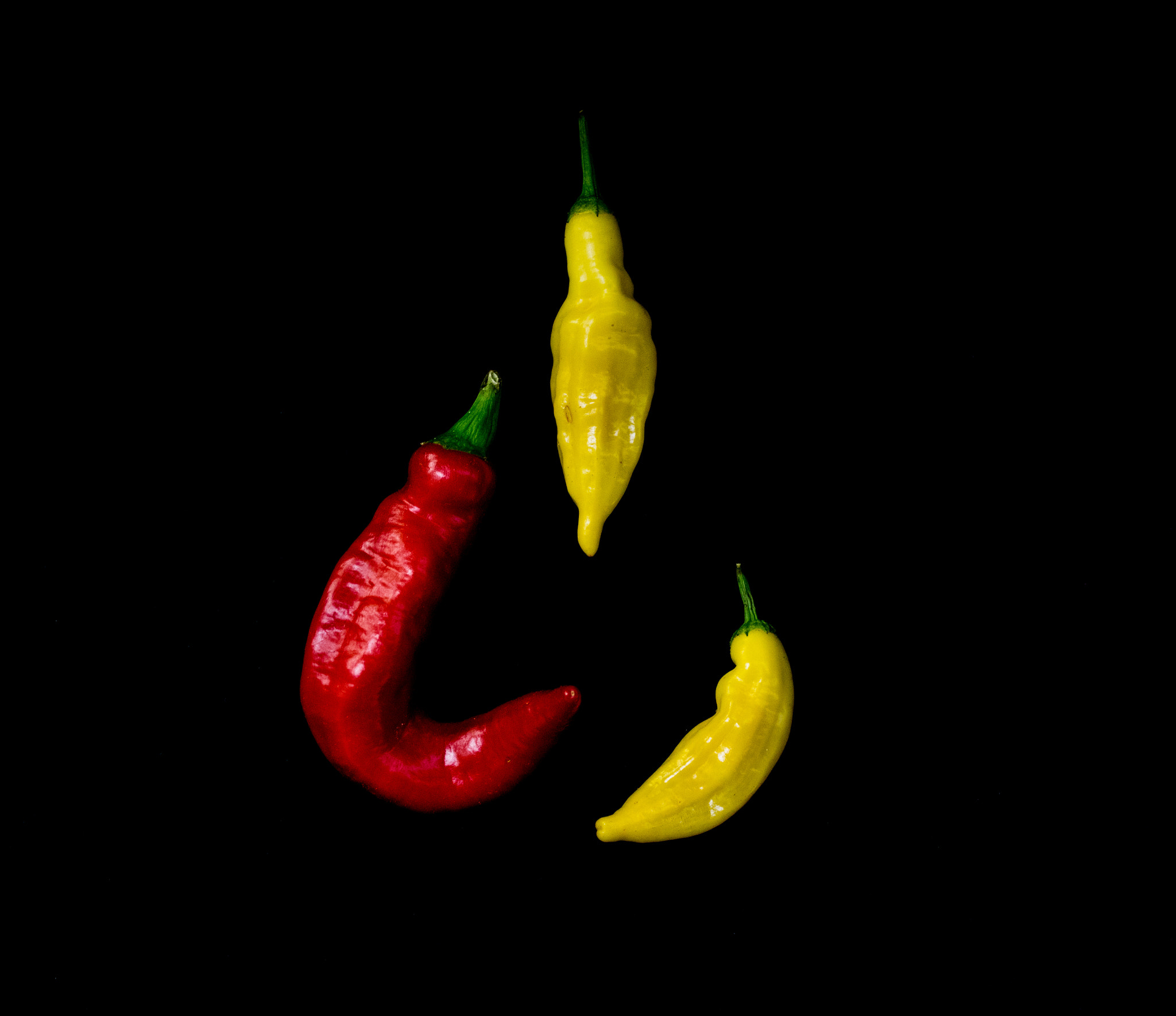 Pentax K-3 + smc PENTAX-FA Macro 50mm F2.8 sample photo. Peppers photography