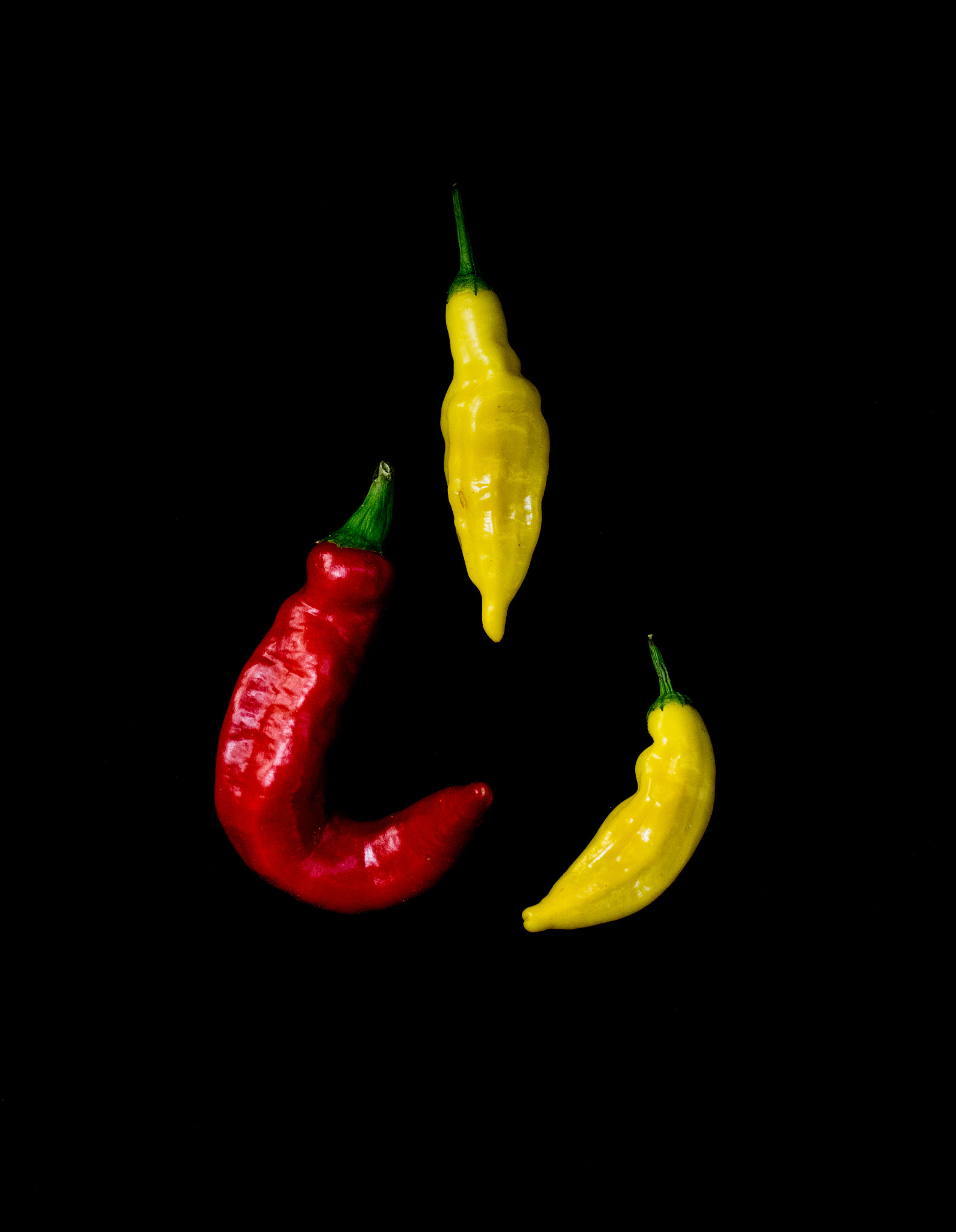 Pentax K-3 + smc PENTAX-FA Macro 50mm F2.8 sample photo. Sweet and hot peppers photography