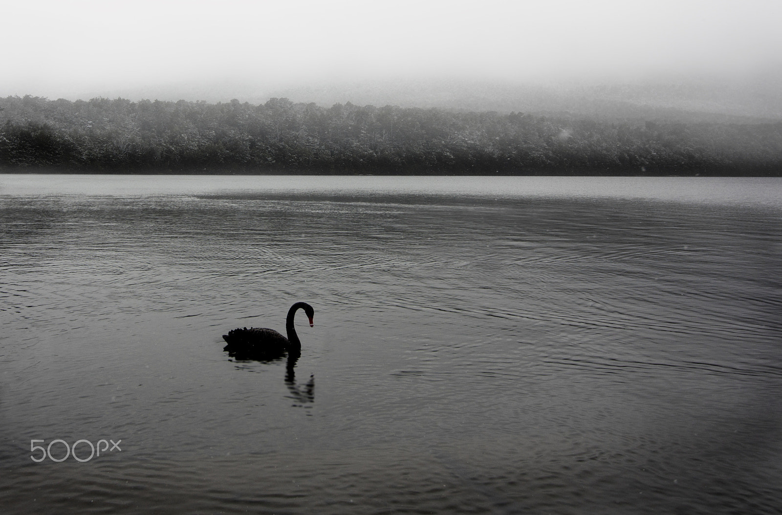 Canon EOS 450D (EOS Rebel XSi / EOS Kiss X2) sample photo. South island landscapes nz photography