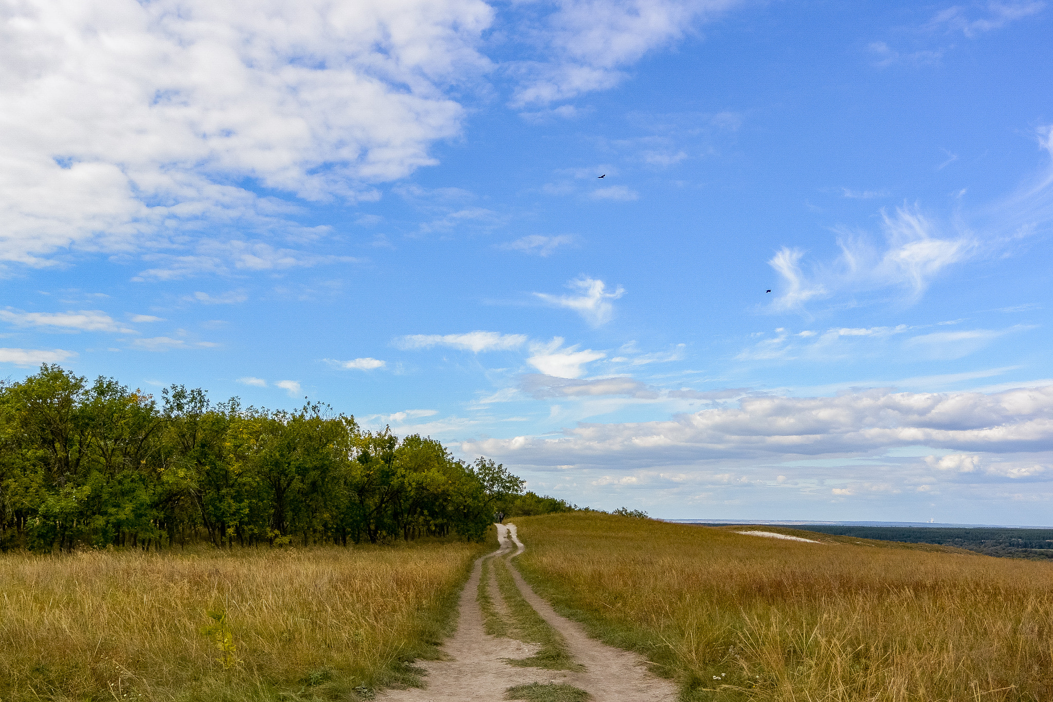 Nikon 1 J3 sample photo. Divnogorie national park photography