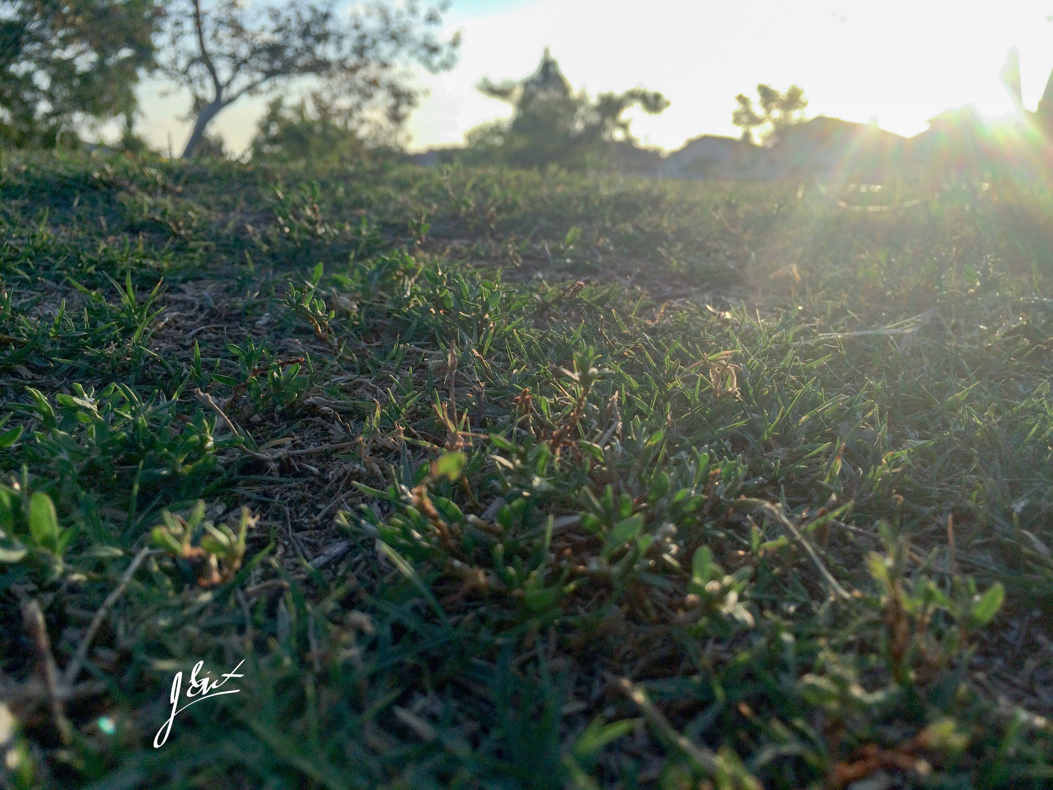 Apple iPhone6,1 + iPhone 5s back camera 4.15mm f/2.2 sample photo. Field of green photography