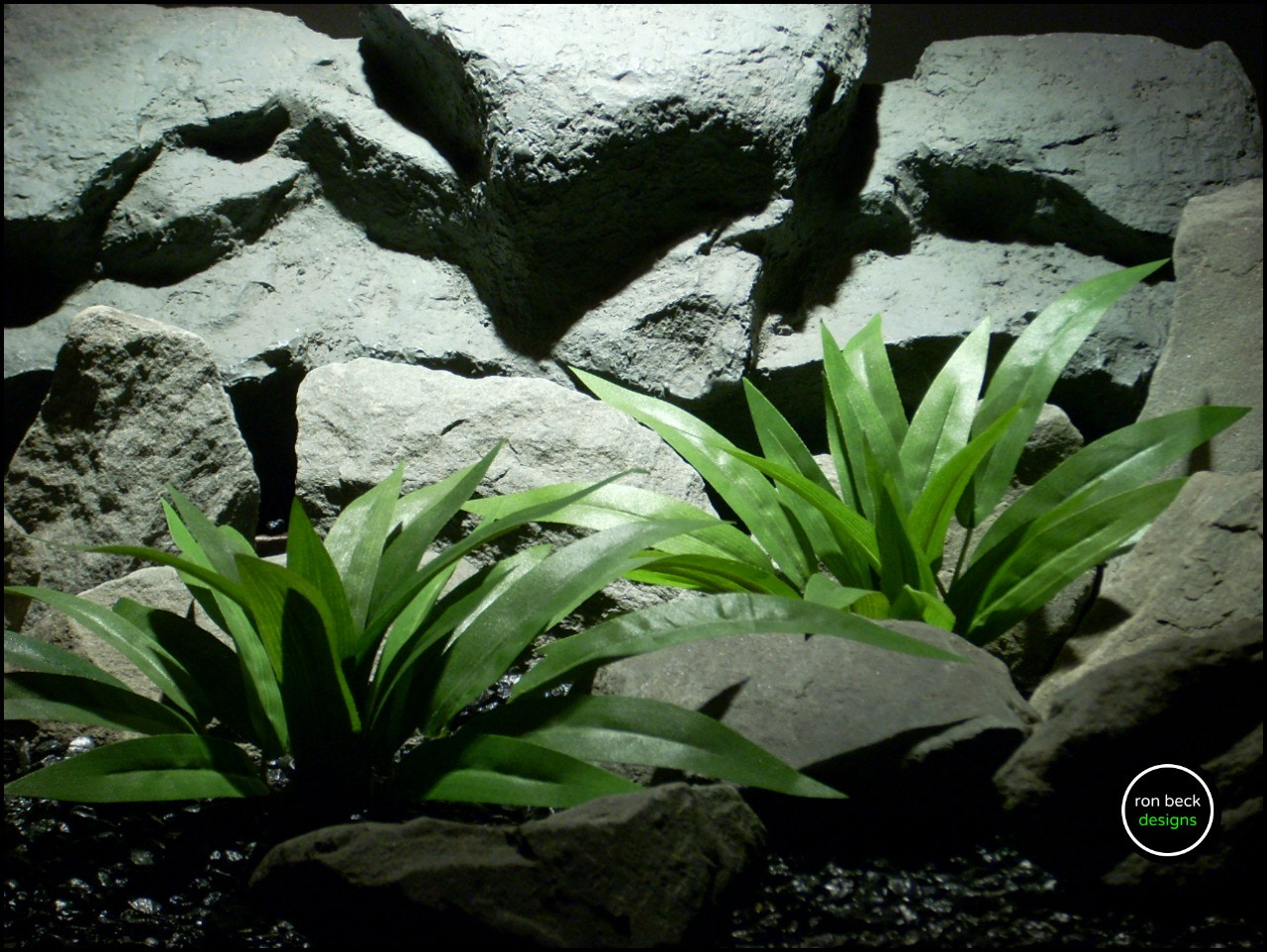 Nikon COOLPIX L11 sample photo. Silk aquarium plants – silk reptile plants: pa.jpg photography