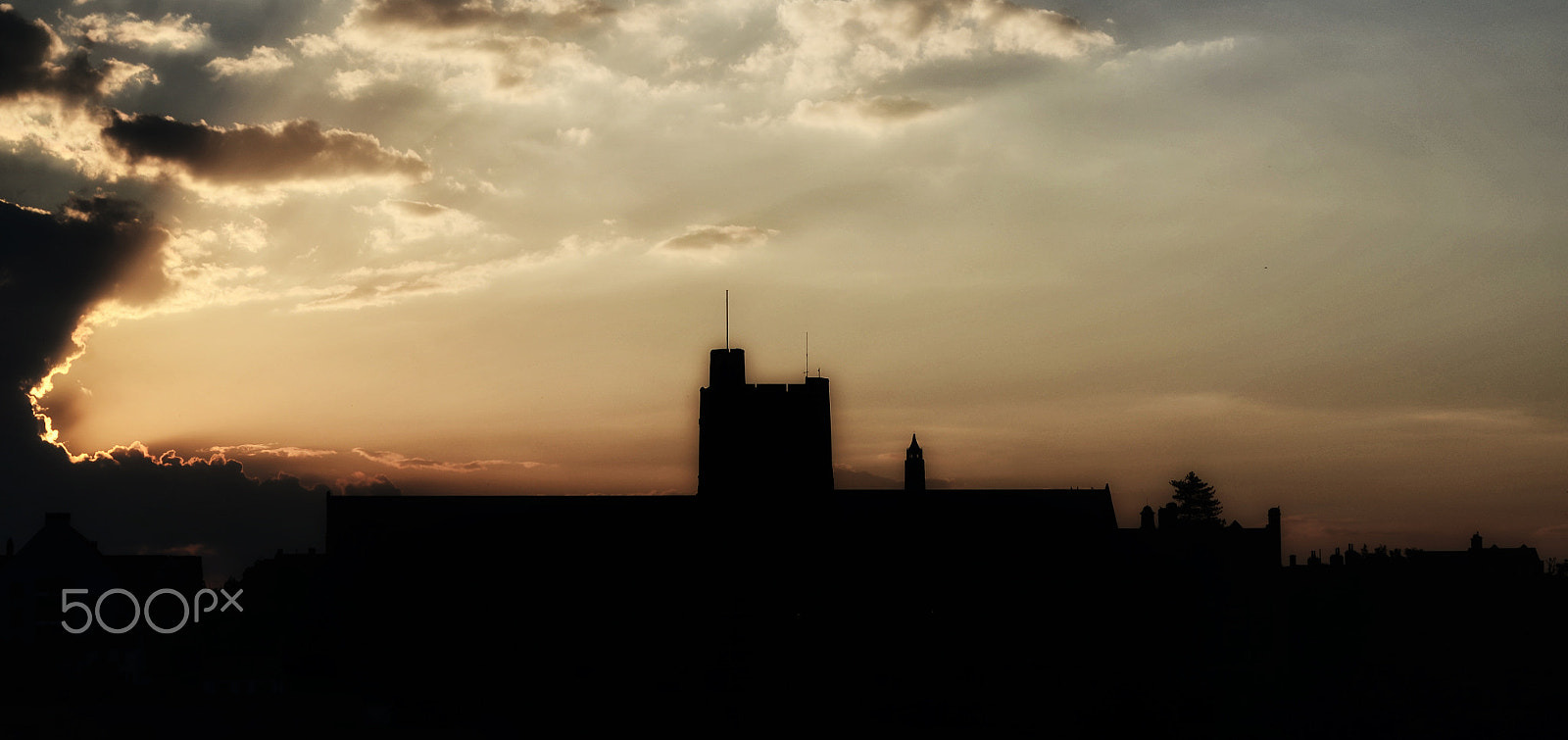 Nikon D5100 + Nikon AF-S Nikkor 600mm F4D ED-IF II sample photo. Bangor university, gwynedd, uk photography