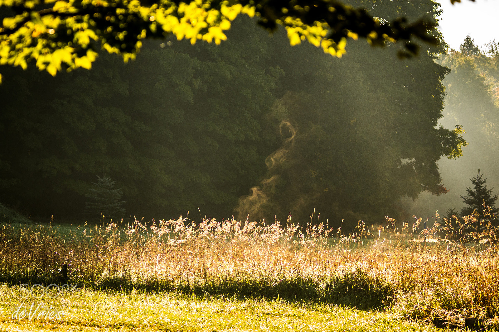 Sigma 120-400mm F4.5-5.6 DG OS HSM sample photo. I see a ghost! photography