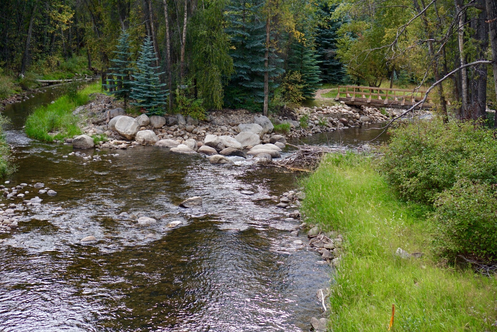 Fork in the River