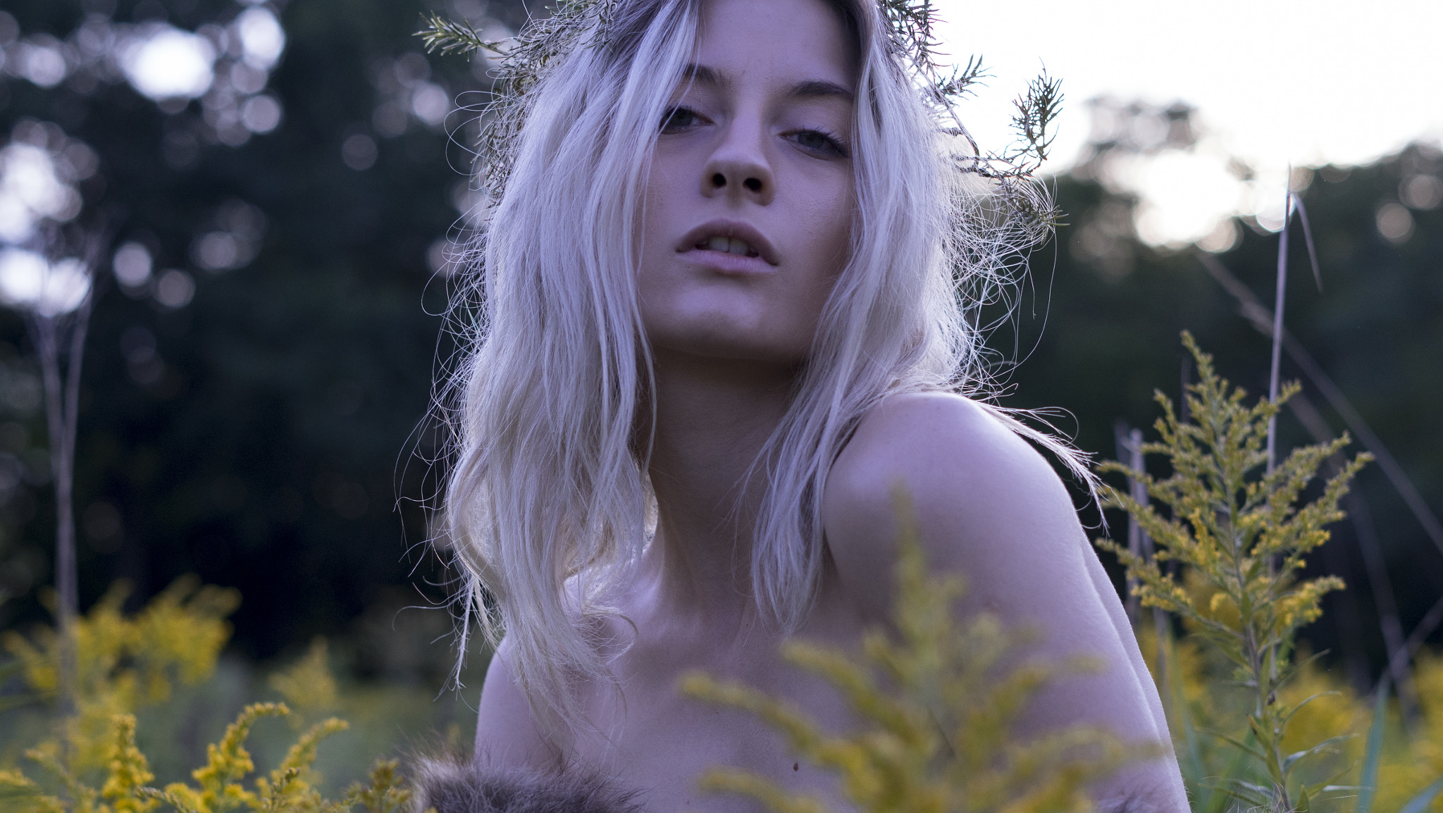 Sony a7R + Sony FE 50mm F1.8 sample photo