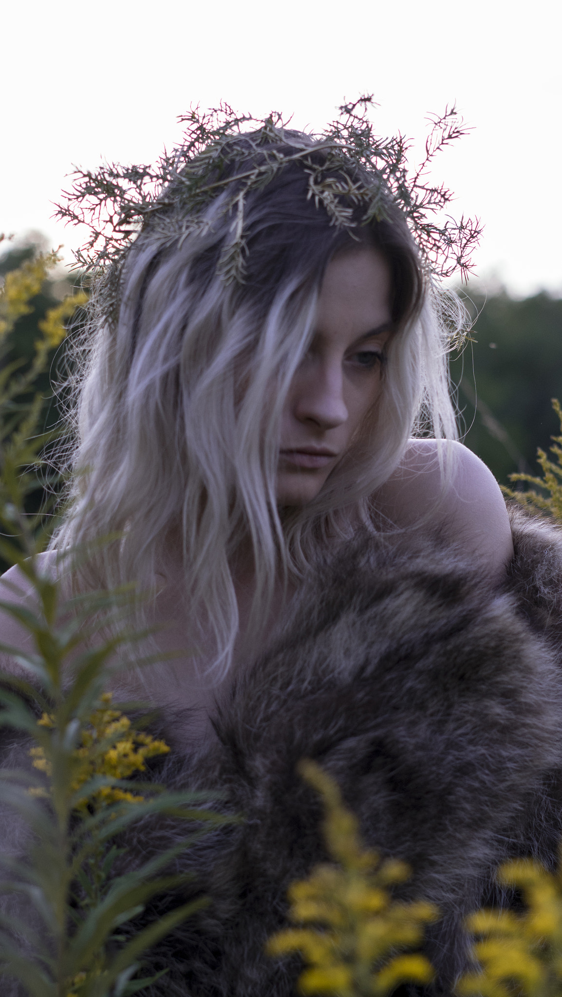 Sony a7R + Sony FE 50mm F1.8 sample photo