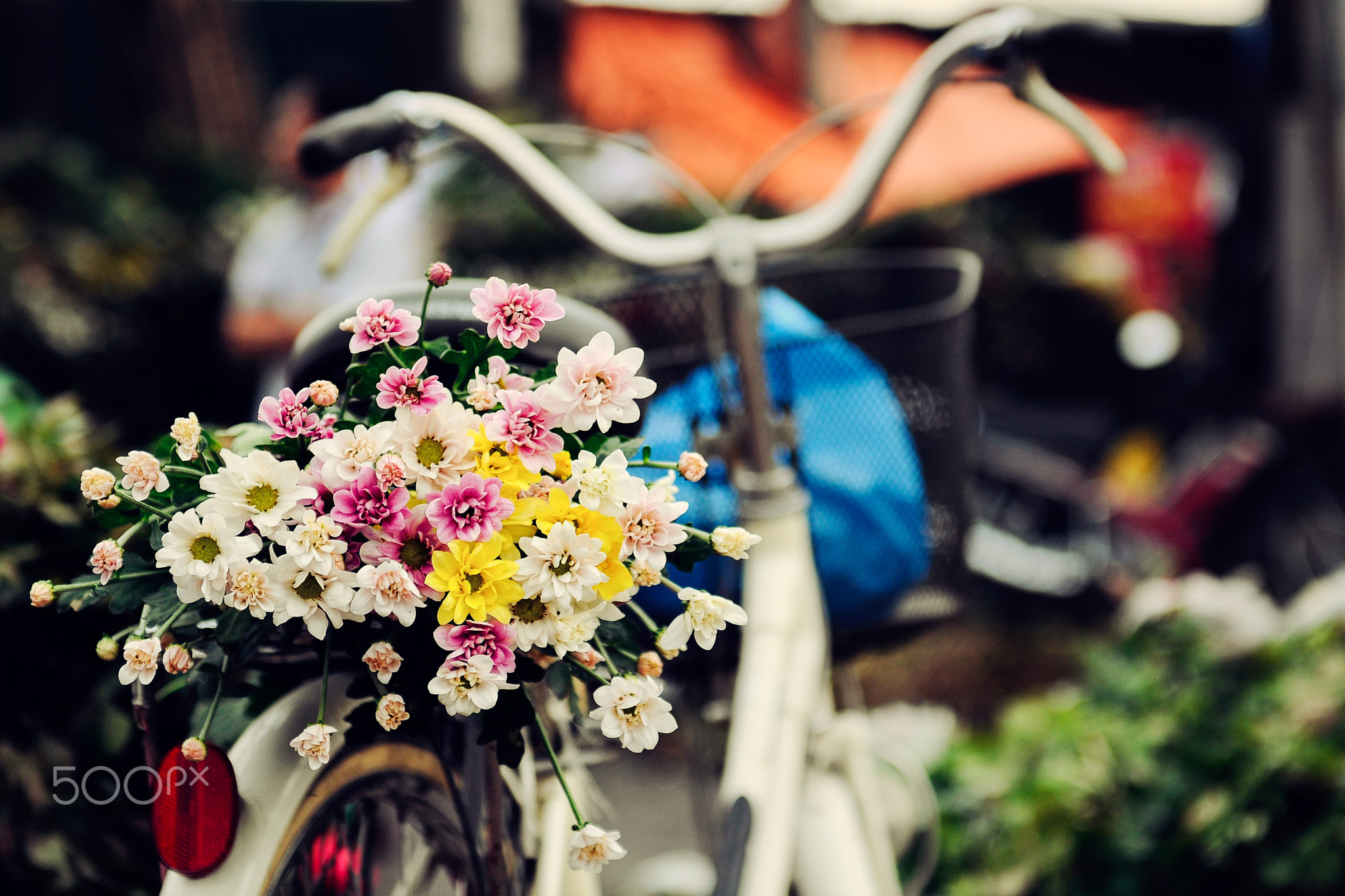 Flowers and bicycle