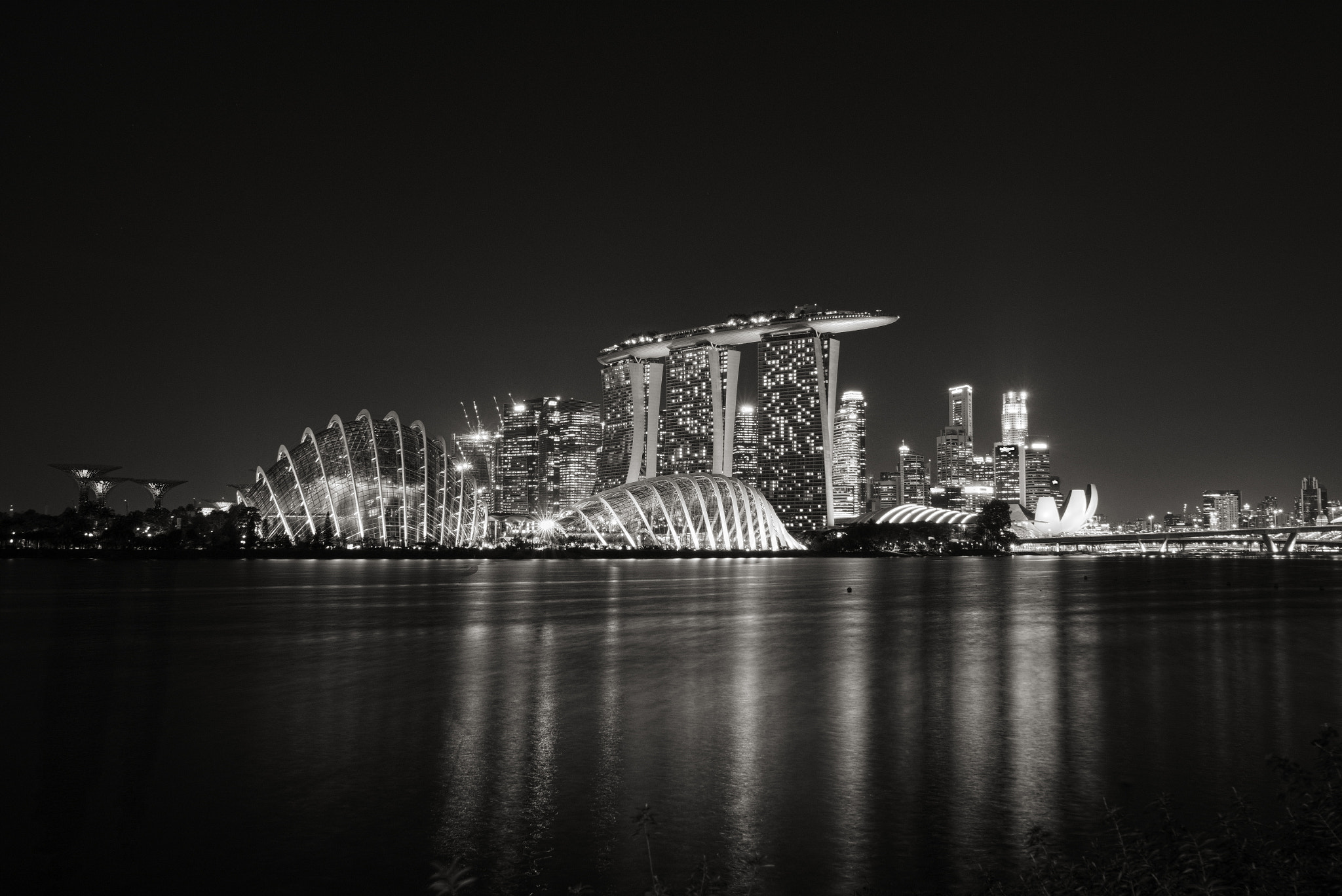 Fujifilm X-T10 + Fujifilm XF 16-55mm F2.8 R LM WR sample photo. Gardens by the bay photography