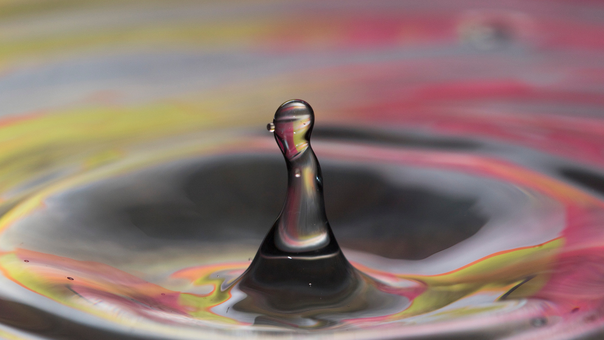Canon EF 100mm F2.8L Macro IS USM sample photo. Water photography