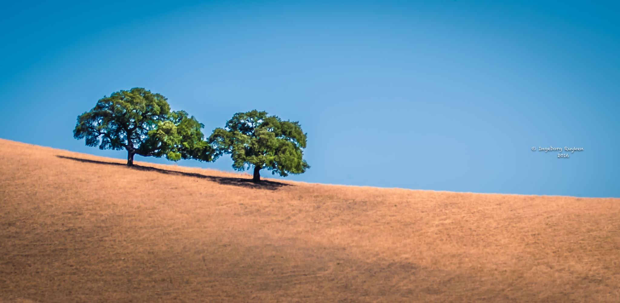 Nikon AF-S Nikkor 70-200mm F2.8G ED VR II sample photo. On andalusian grounds photography