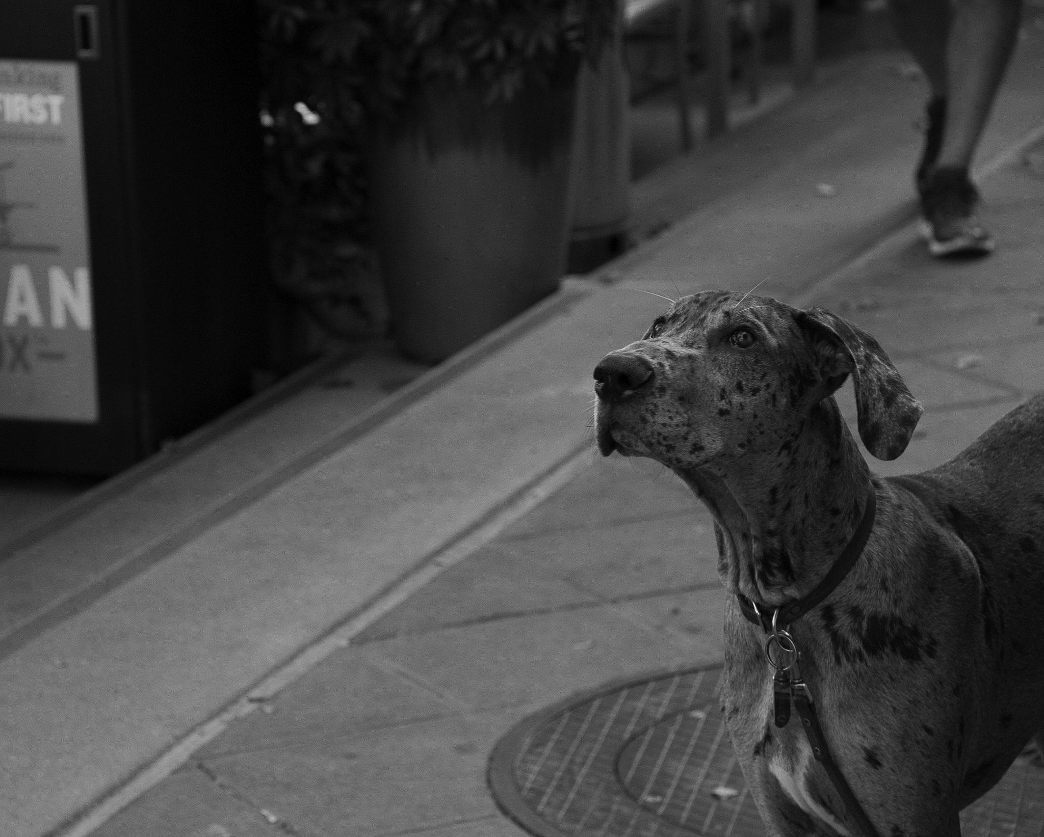 Canon EOS 550D (EOS Rebel T2i / EOS Kiss X4) sample photo. Focused photography