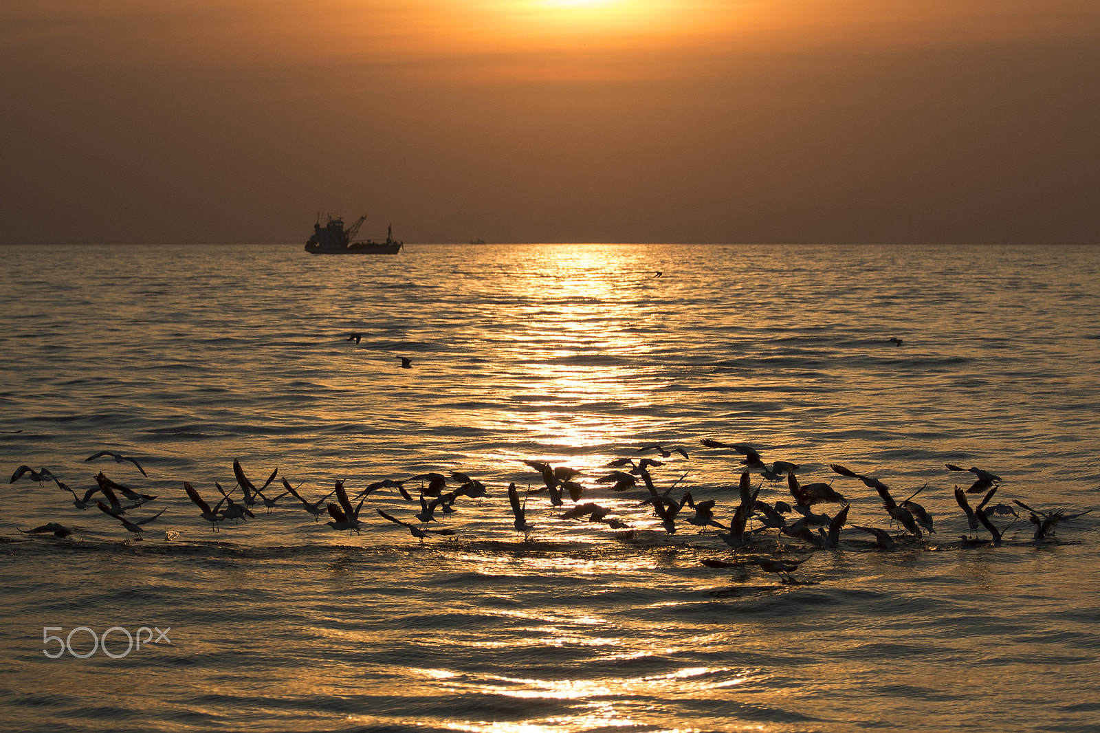 Canon EF 70-200mm F2.8L USM sample photo. Sunset photography