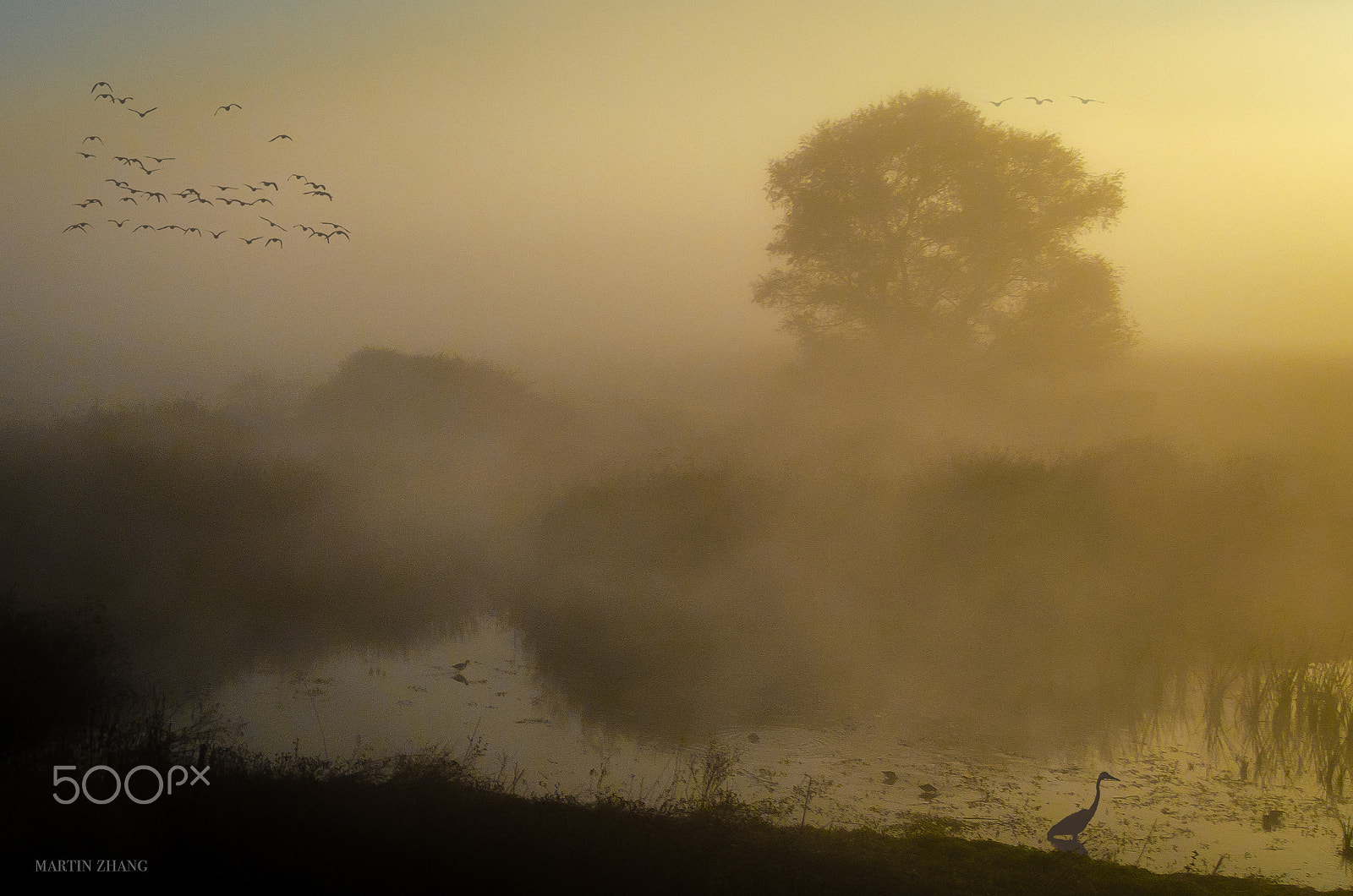 Nikon D7000 sample photo. Peaceful misty morning photography
