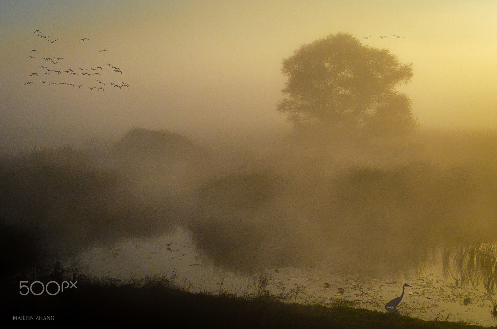 Nikon D7000 + Nikon AF Nikkor 20mm F2.8D sample photo. Peaceful misty morning photography
