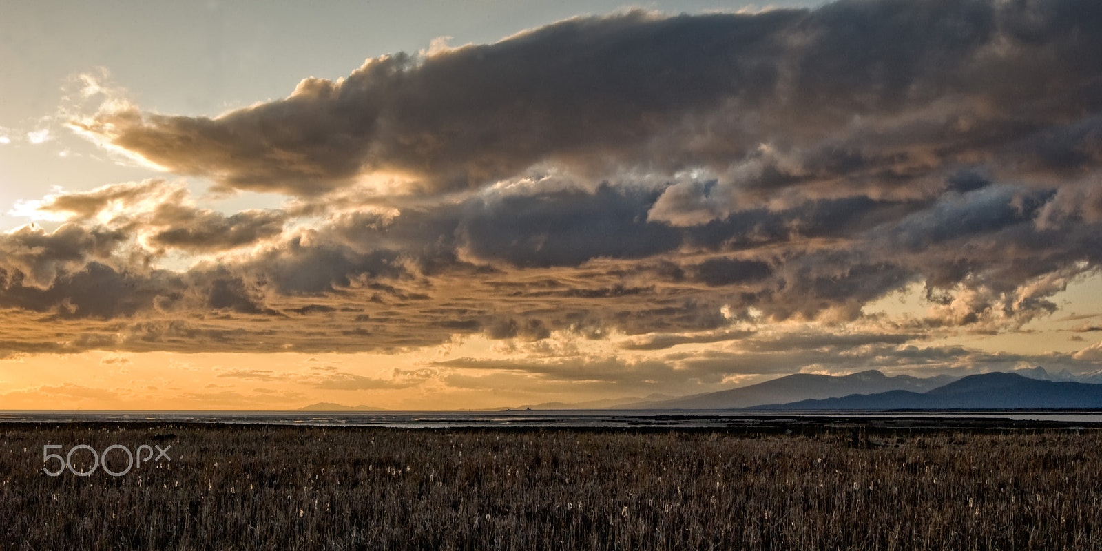 Nikon D1X sample photo. West dyke richmond bc photography