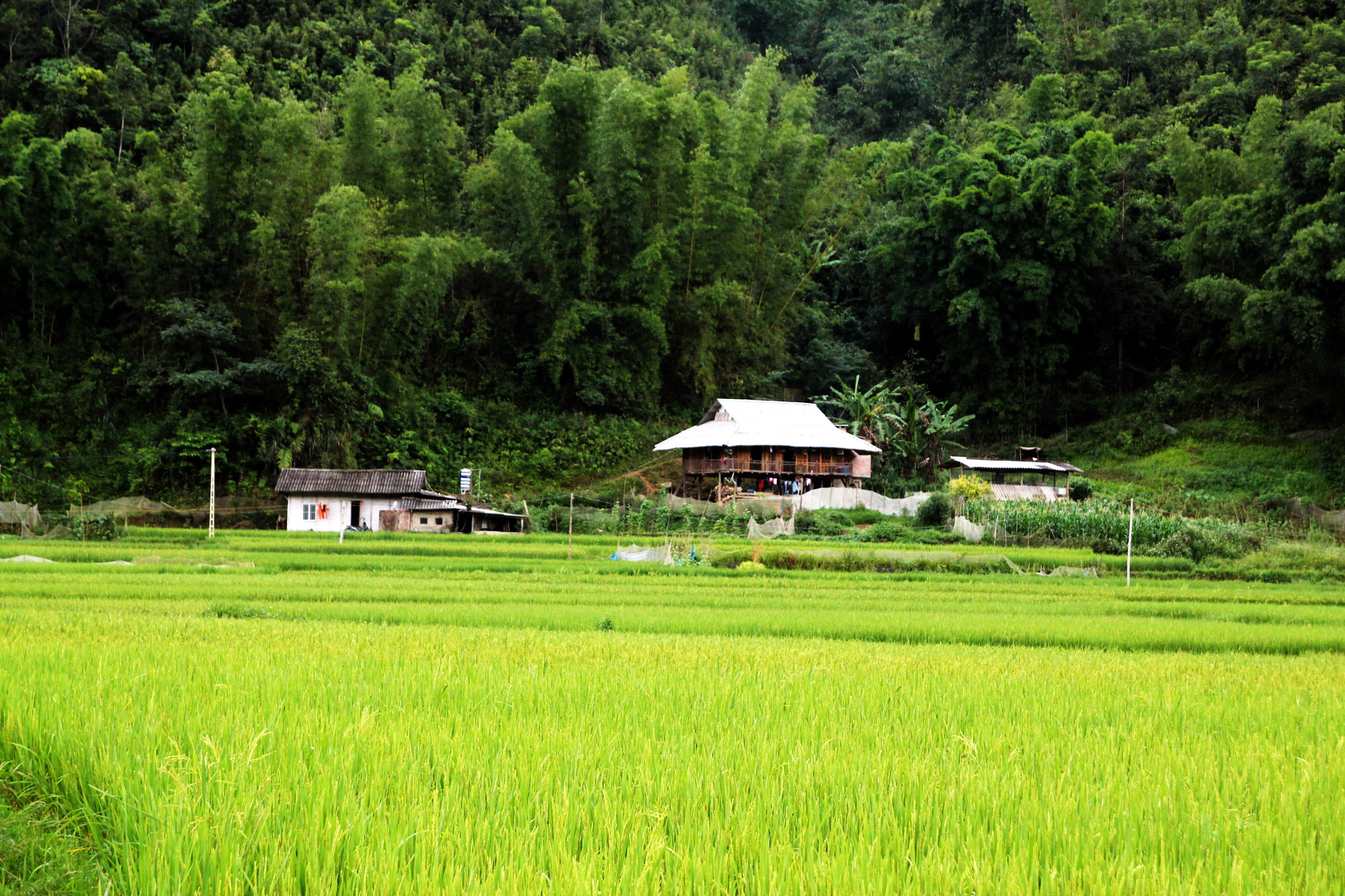 Canon EOS 550D (EOS Rebel T2i / EOS Kiss X4) sample photo. Stranded photography