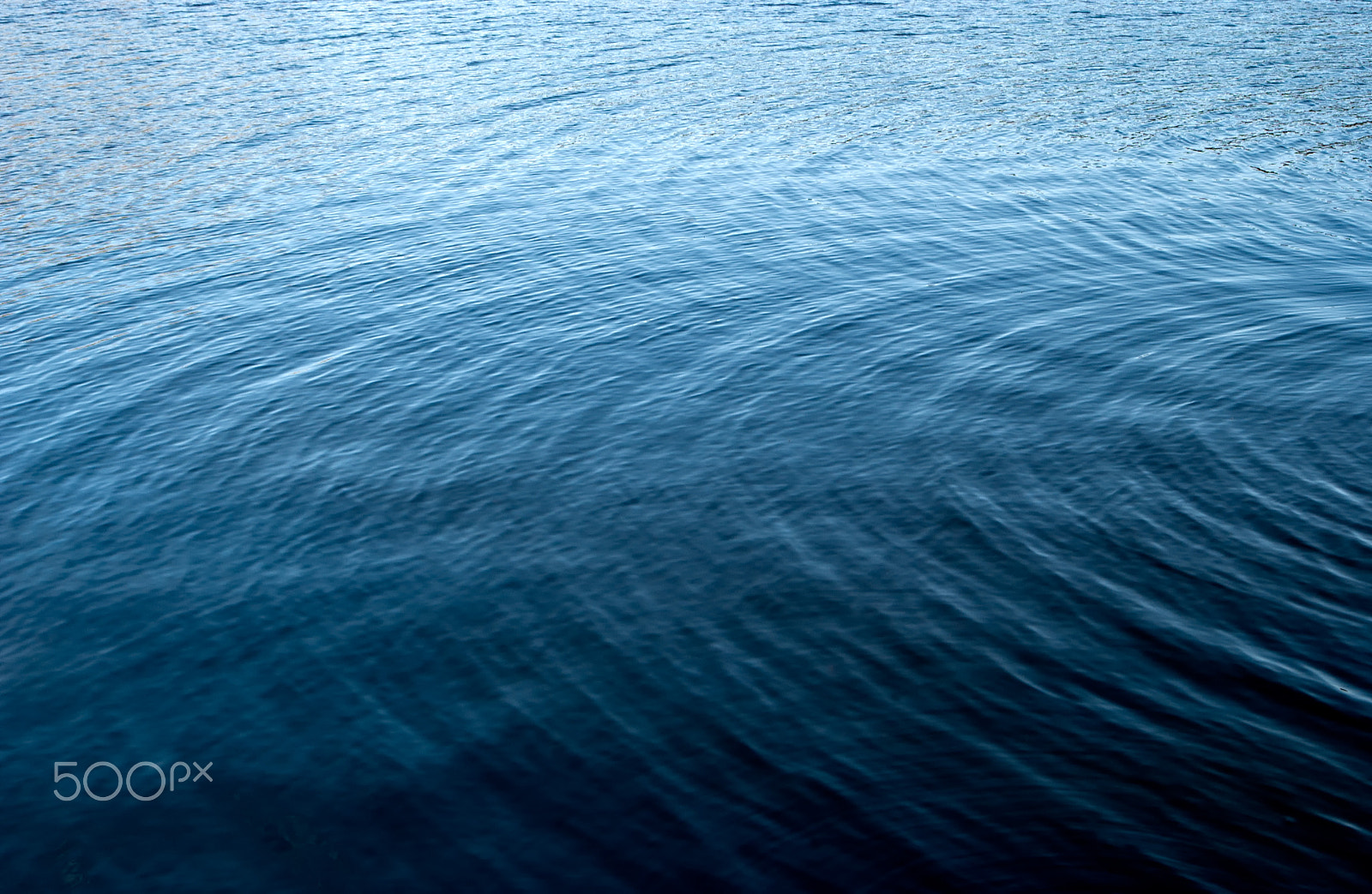 Nikon D1X sample photo. Blue water deer lake burnaby bc photography