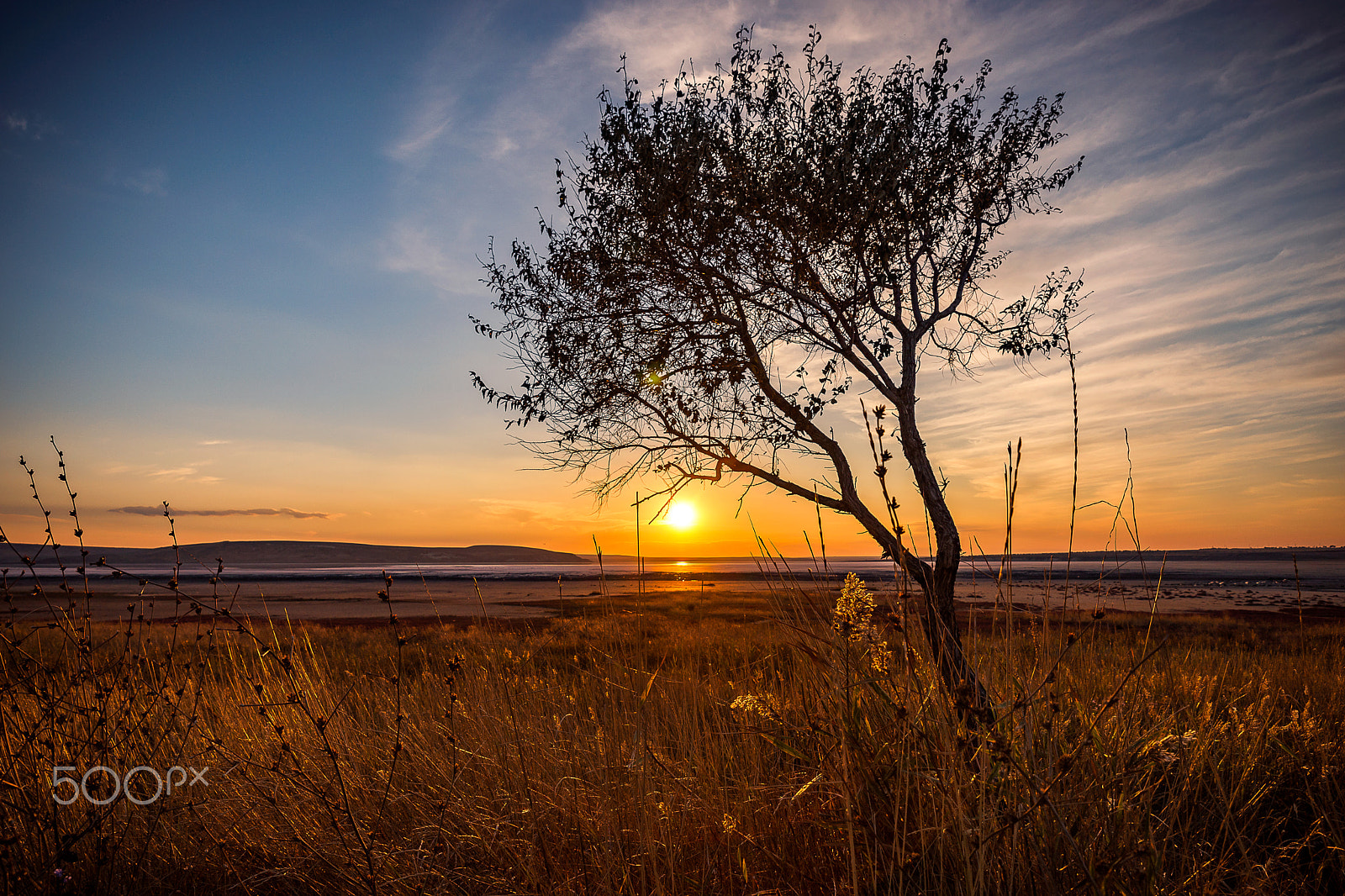 Sony a99 II sample photo. The dried salt lake photography