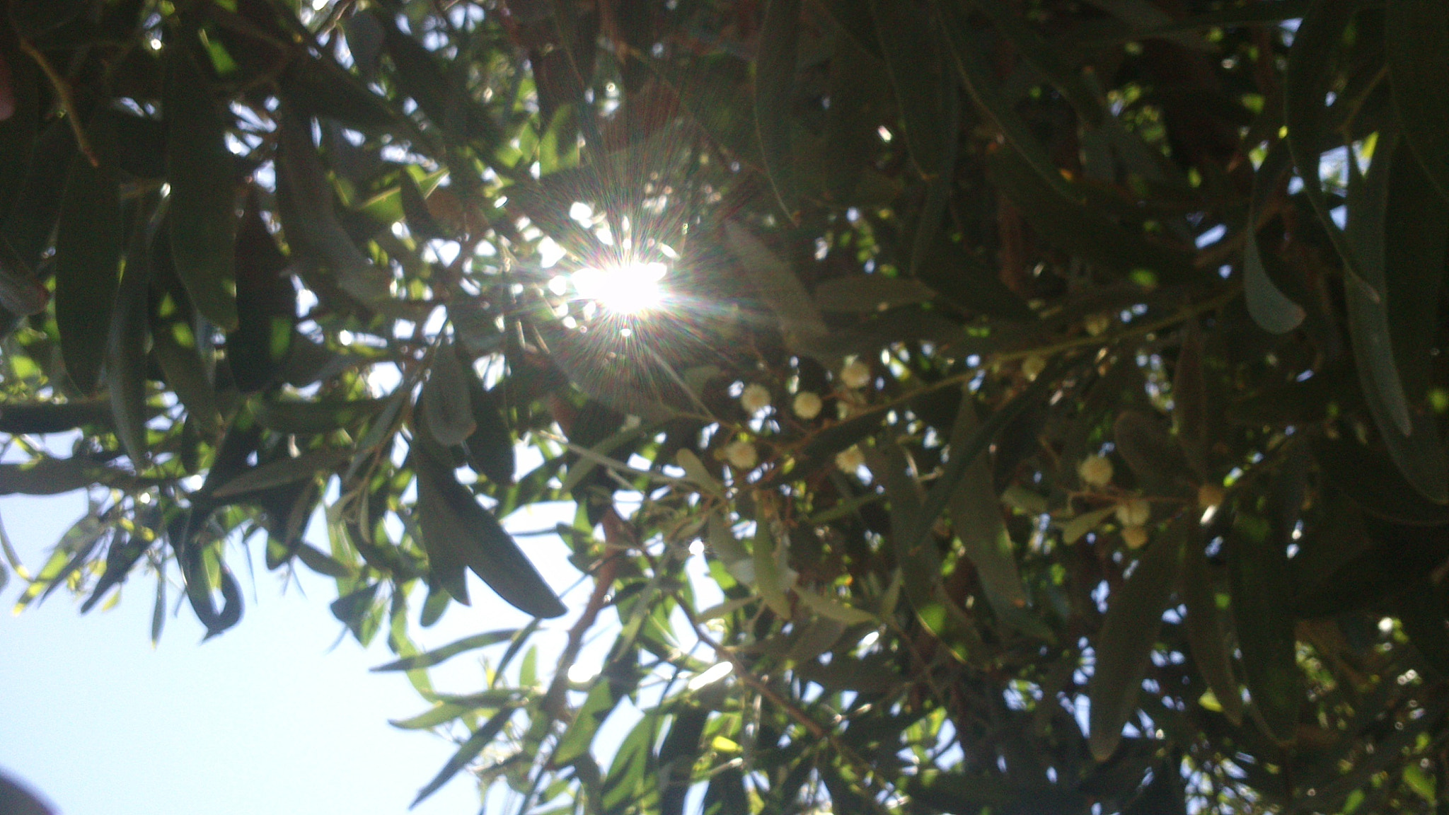 Sony Xperia U sample photo. Destello photography