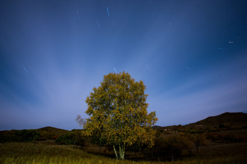 Sigma 12-24mm F4.5-5.6 II DG HSM sample photo