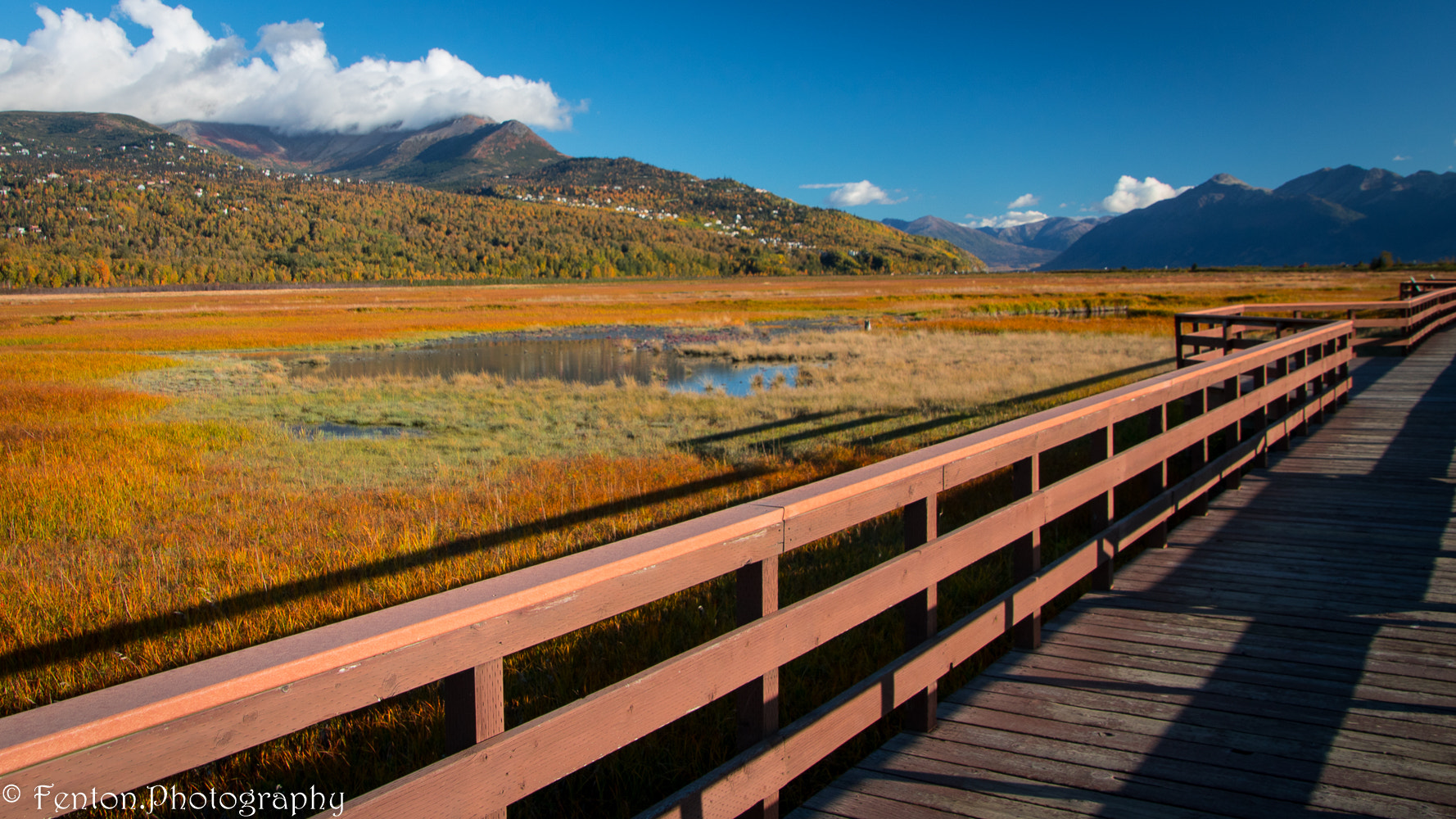 Canon EOS 760D (EOS Rebel T6s / EOS 8000D) sample photo. Fall at the marsh photography