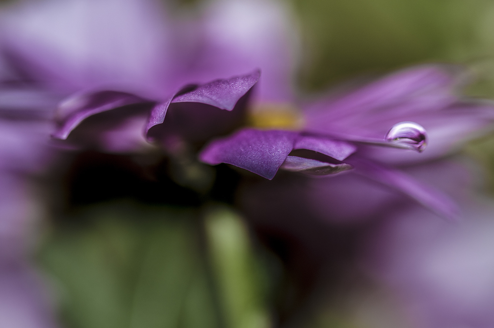 Sigma 105mm F2.8 EX DG OS HSM sample photo. Li0013 photography