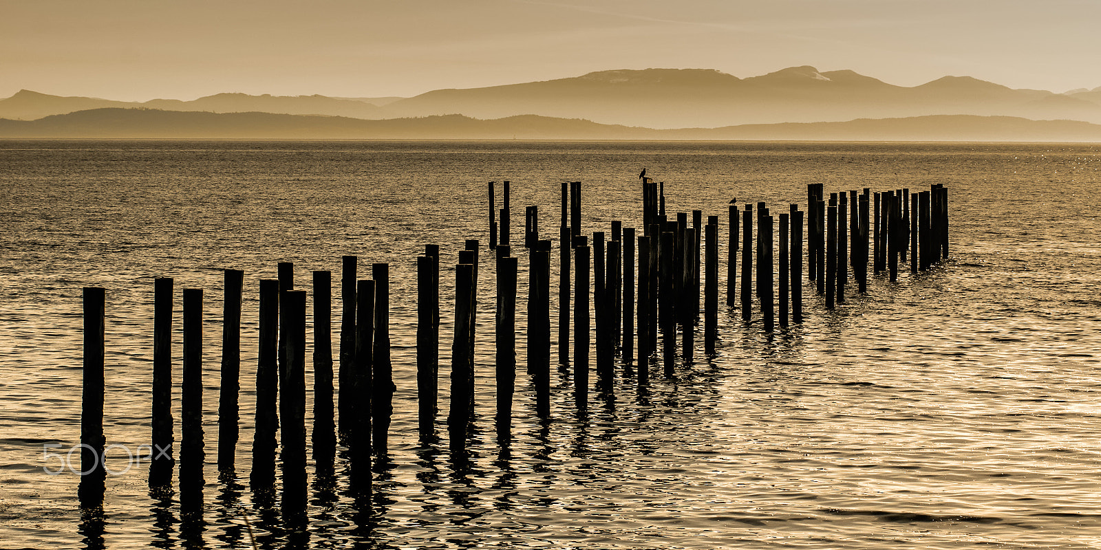 AF Zoom-Nikkor 80-200mm f/2.8 ED sample photo. Fraser river, richmond bc photography