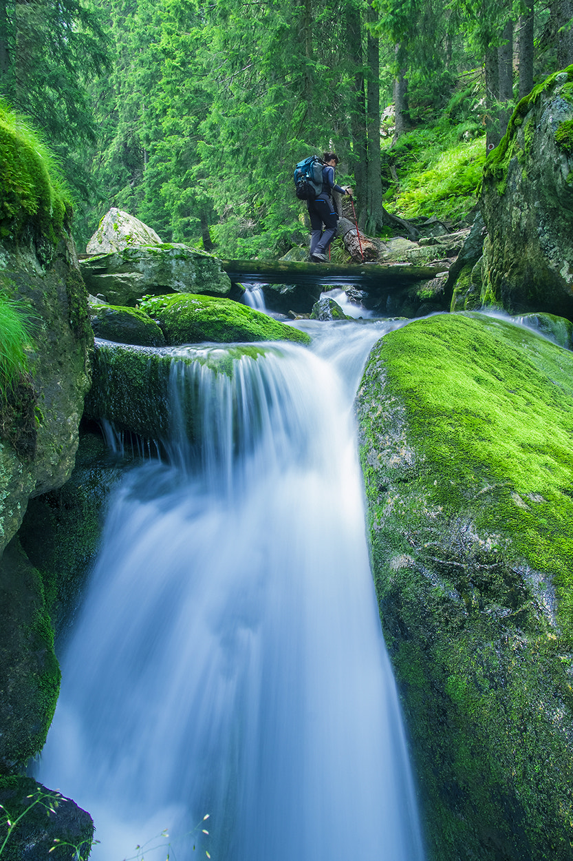 Sony Alpha NEX-C3 + Sigma 19mm F2.8 EX DN sample photo. Mountain river photography