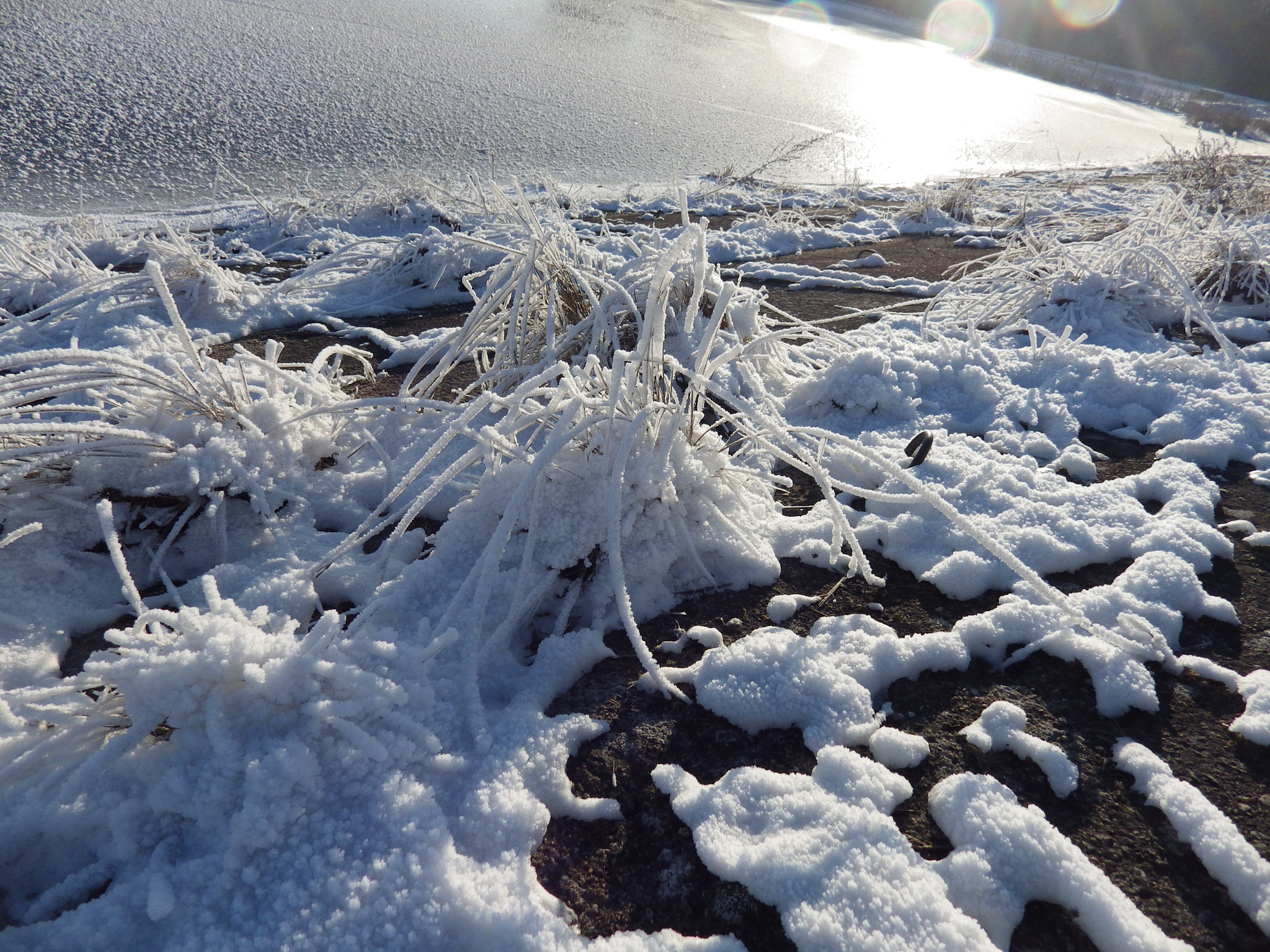 Pentax X-5 sample photo. Winter in lithuania photography