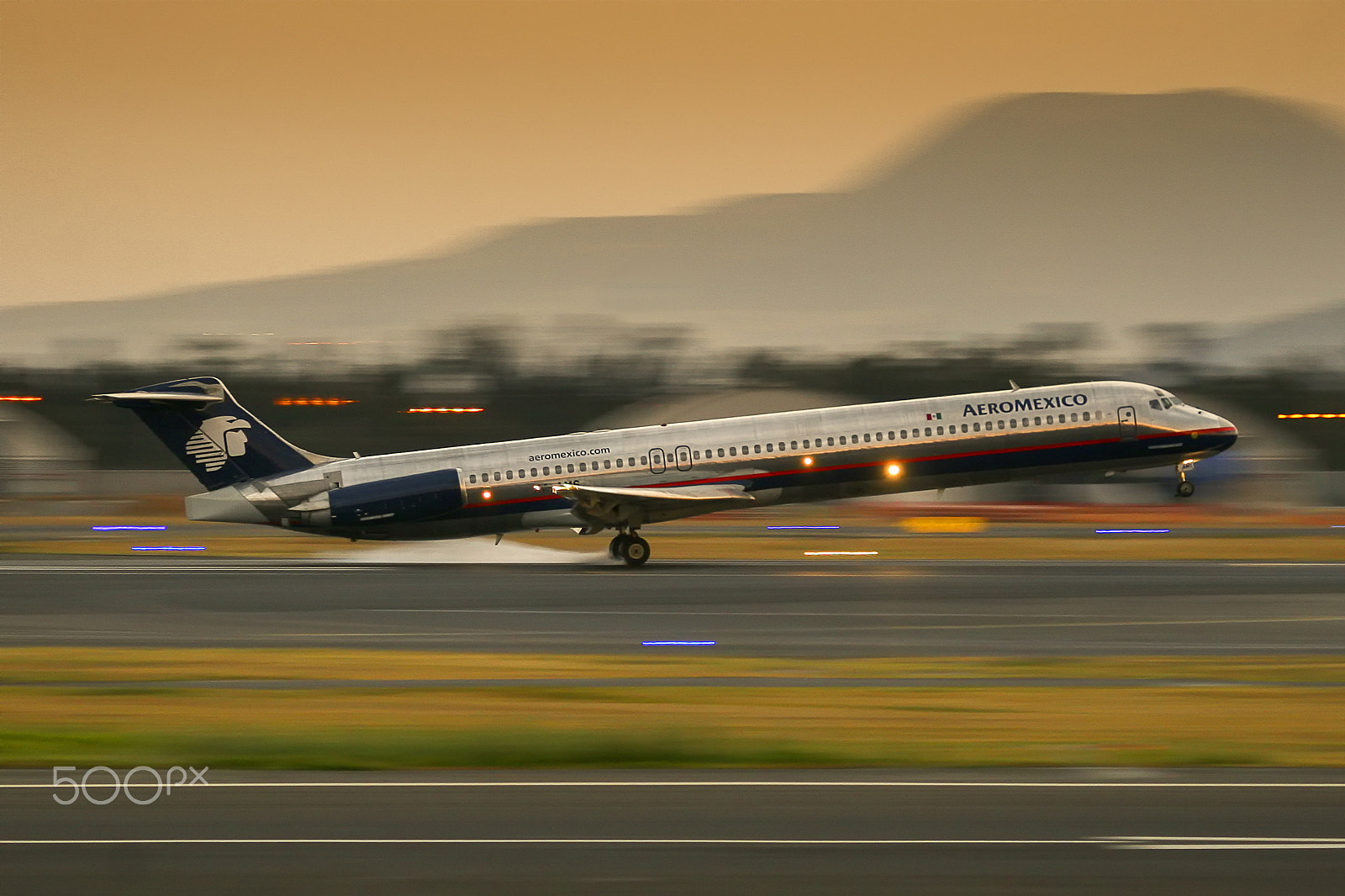 Canon EF 100-400mm F4.5-5.6L IS USM sample photo. Landing photography