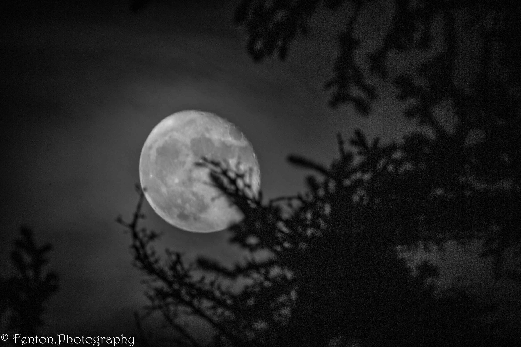 Tamron SP 150-600mm F5-6.3 Di VC USD sample photo. Alaska moon photography
