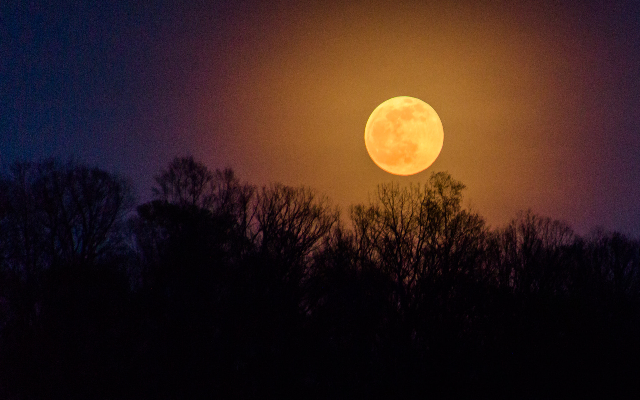 Canon EOS 650D (EOS Rebel T4i / EOS Kiss X6i) sample photo. Harvest moon photography