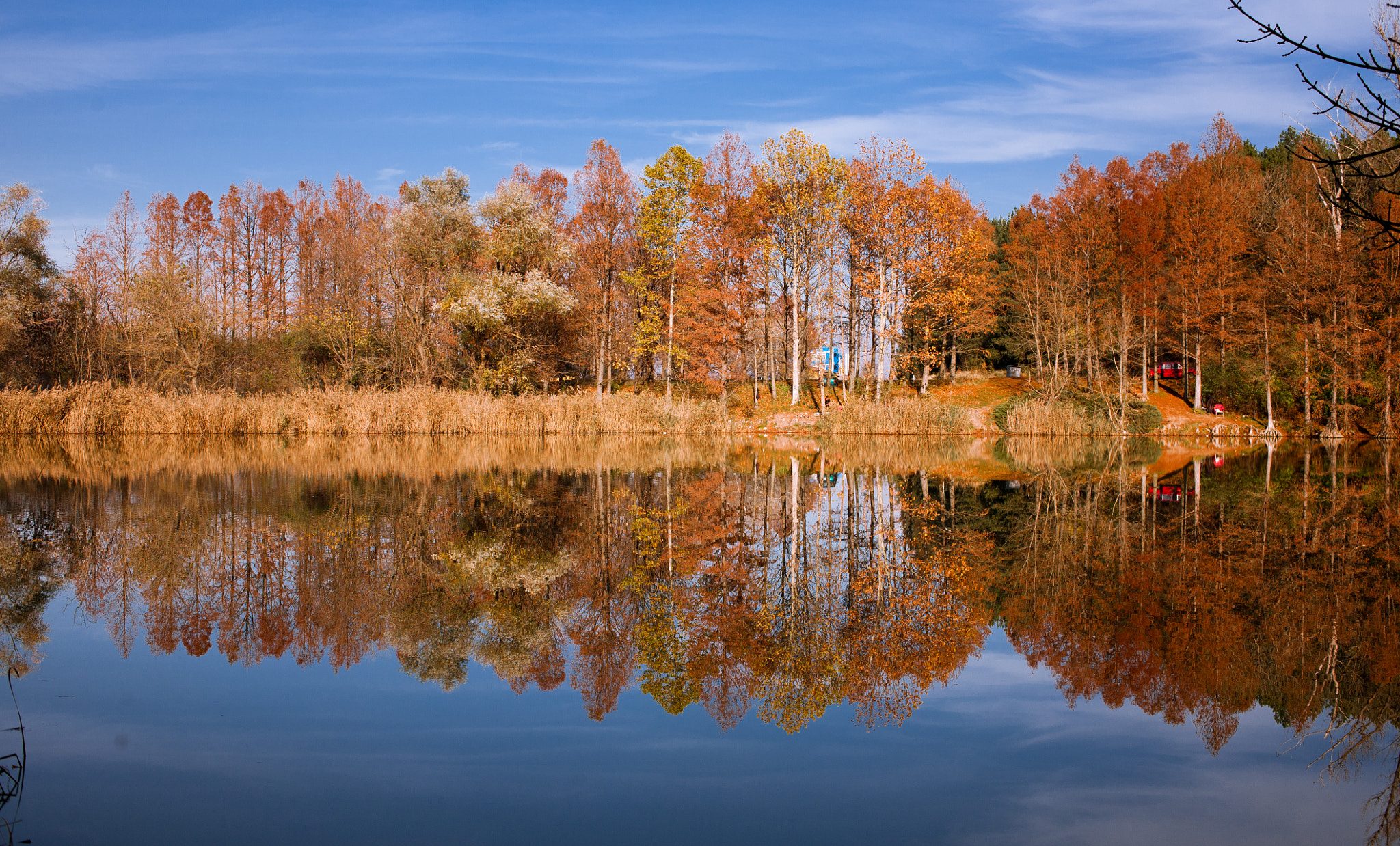 Canon EOS 5D + Canon EF 35mm F2 sample photo. Златна есен / golden autumn photography