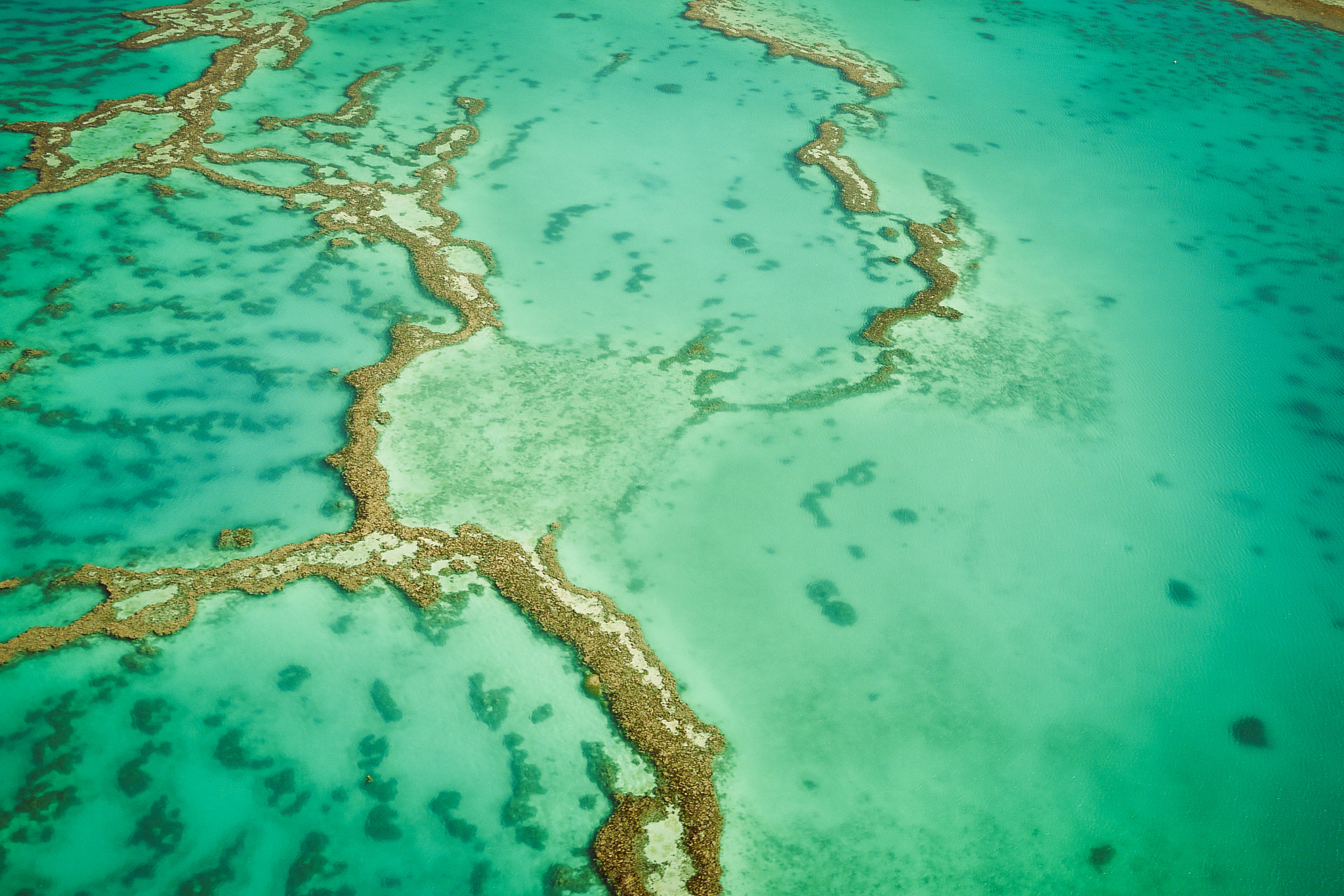 Panasonic Lumix DMC-G2 sample photo. Great barrier reef photography