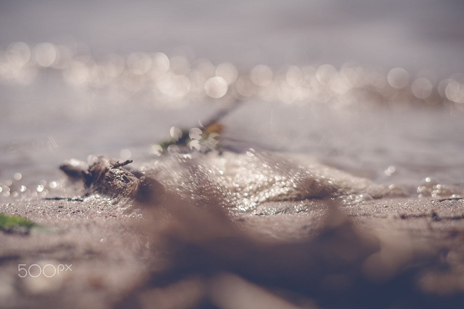 Pentax K-30 + Pentax smc DA 50mm F1.8 sample photo. Dreamy photography