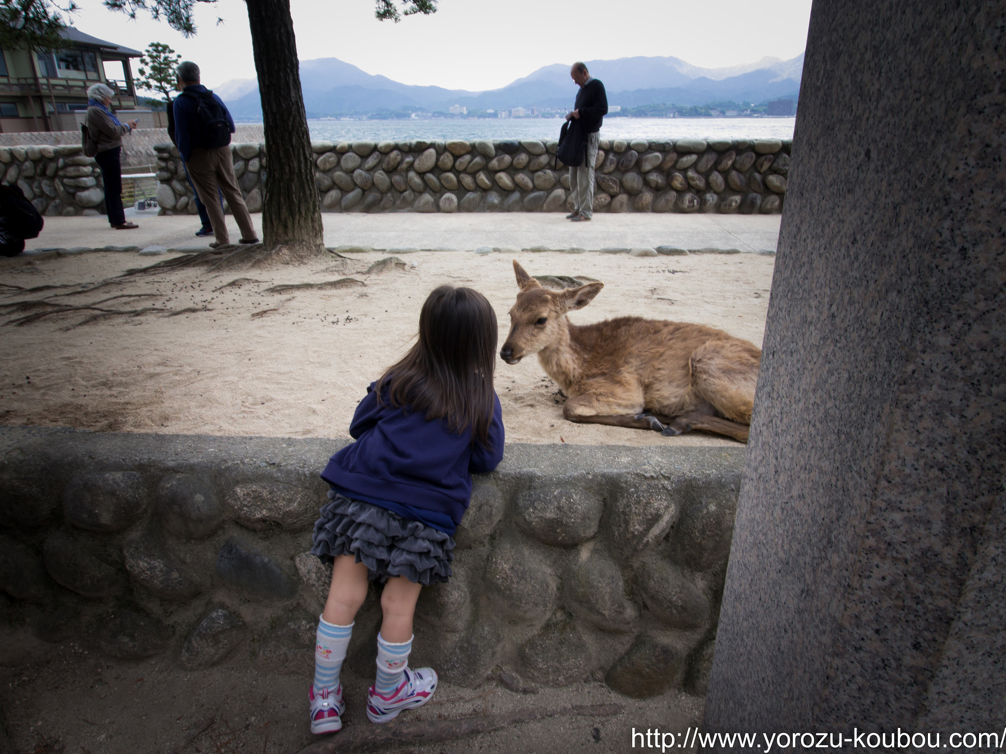 Panasonic Lumix DMC-GH2 + OLYMPUS DIGITAL 11-22mm Lens sample photo. Girl and deer photography