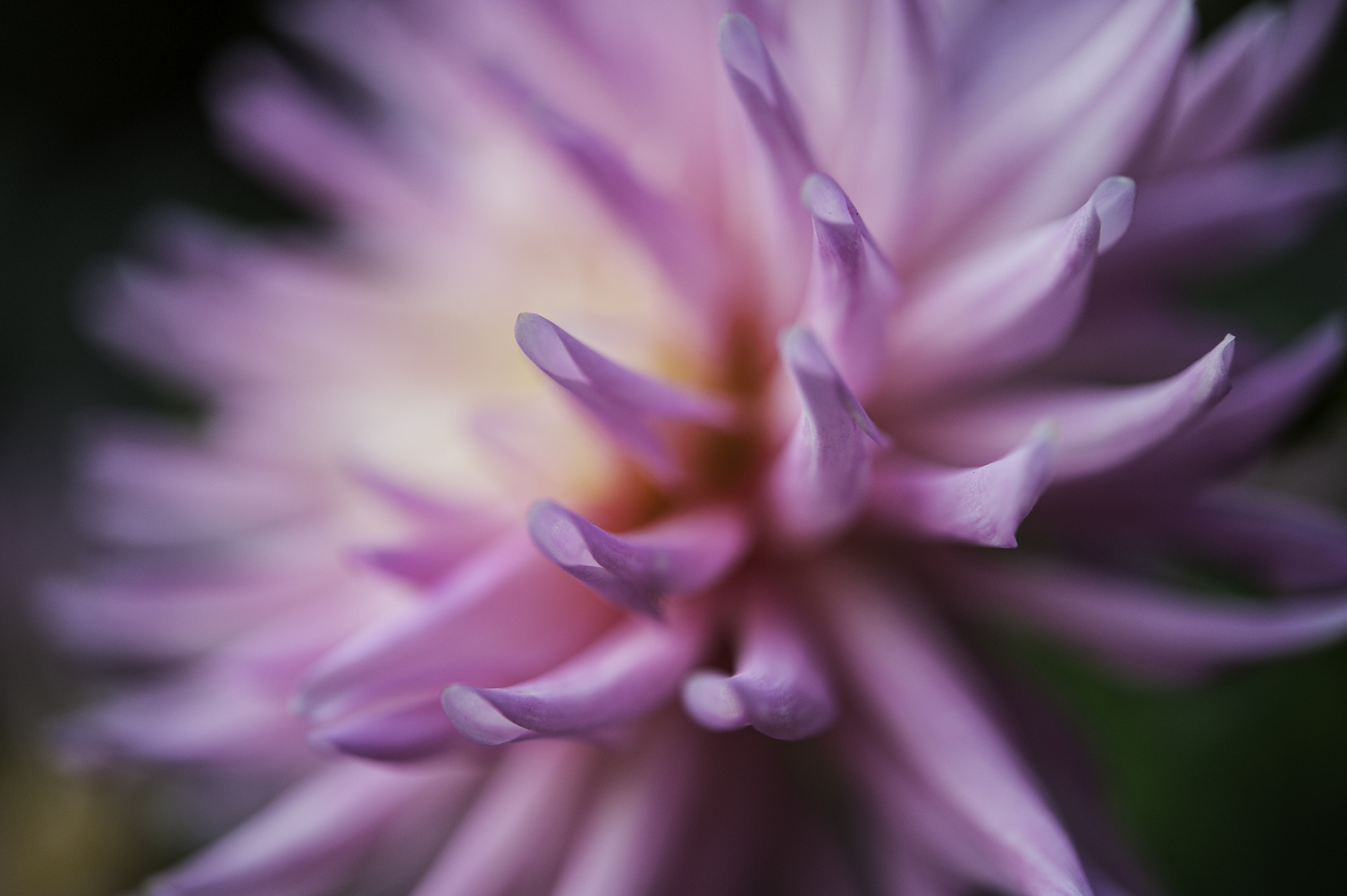 Nikon D3 sample photo. Side-view photography