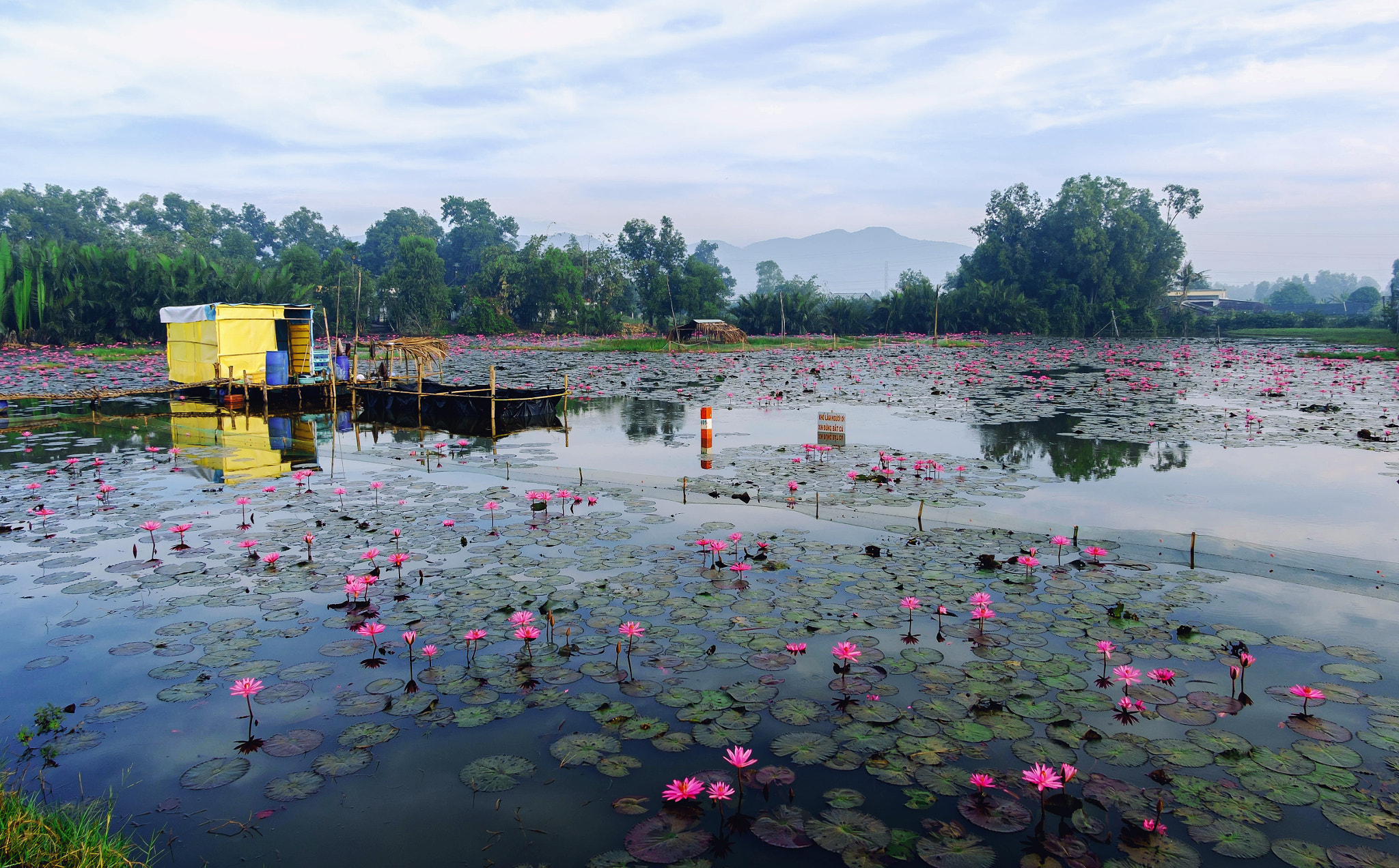 Fujifilm XC 16-50mm F3.5-5.6 OIS sample photo. Lake photography