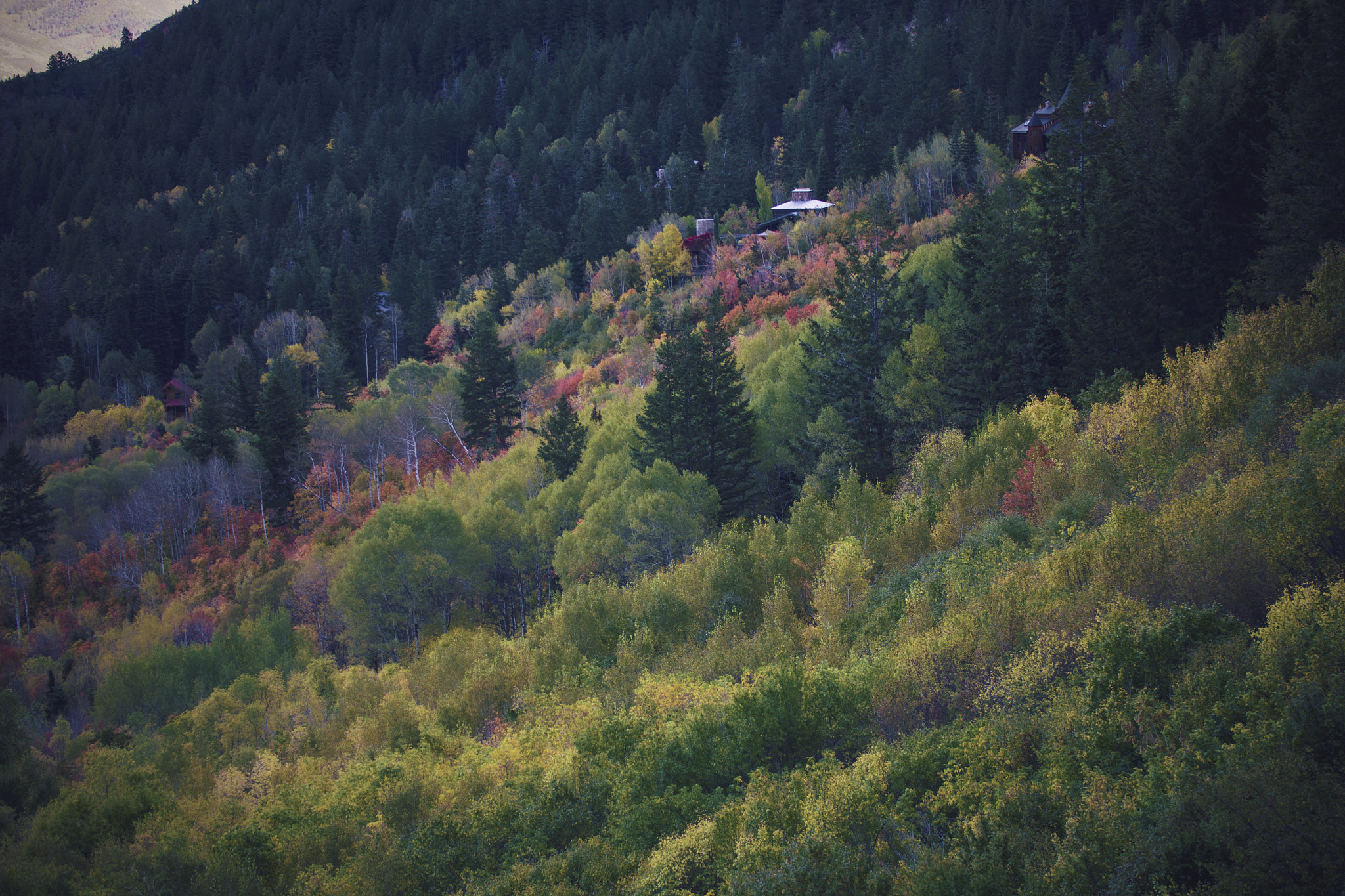 Canon EOS 550D (EOS Rebel T2i / EOS Kiss X4) sample photo. Hike to stewart falls, utah photography