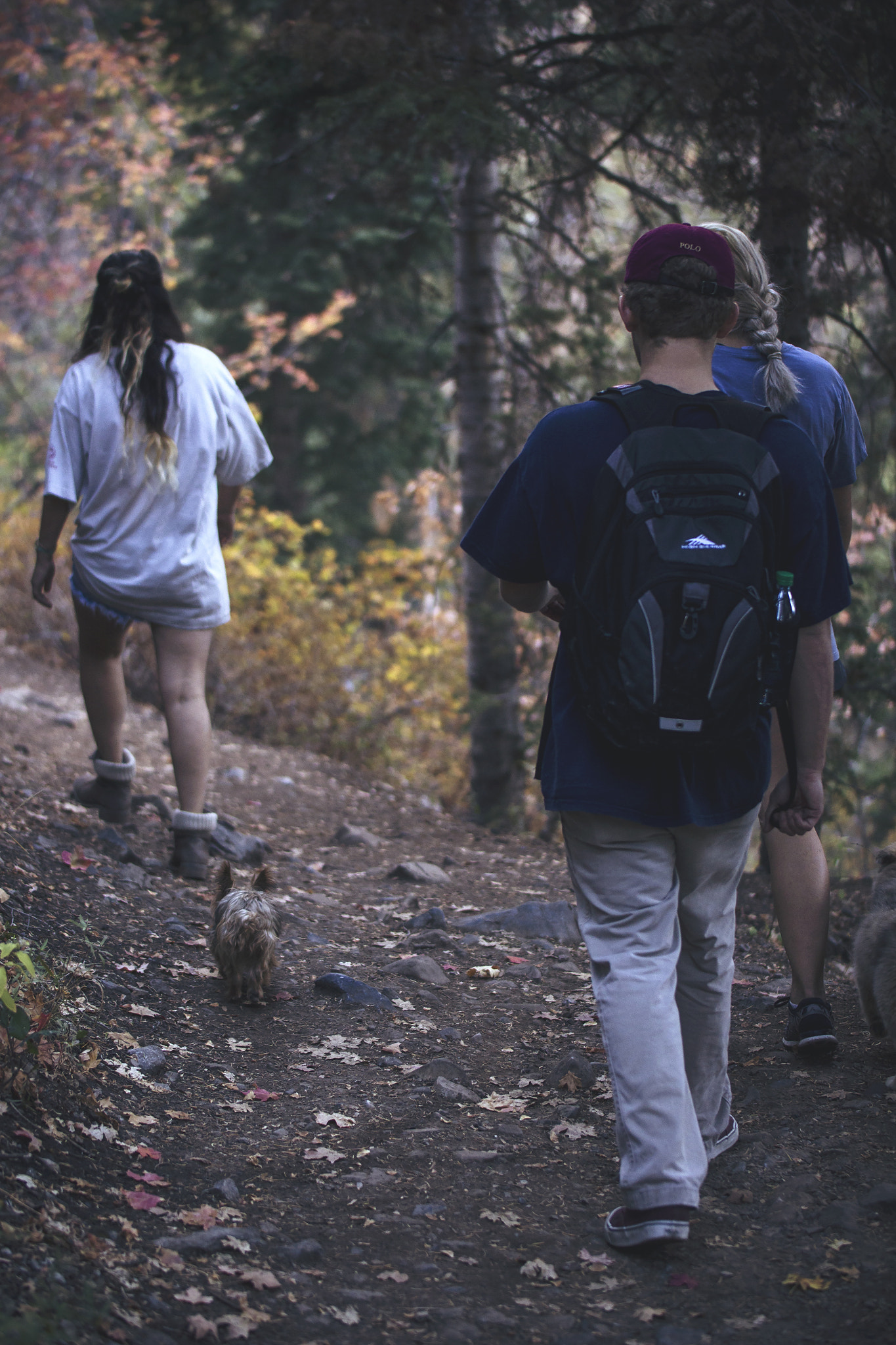 Canon EOS 550D (EOS Rebel T2i / EOS Kiss X4) sample photo. Hike to stewart falls, utah photography