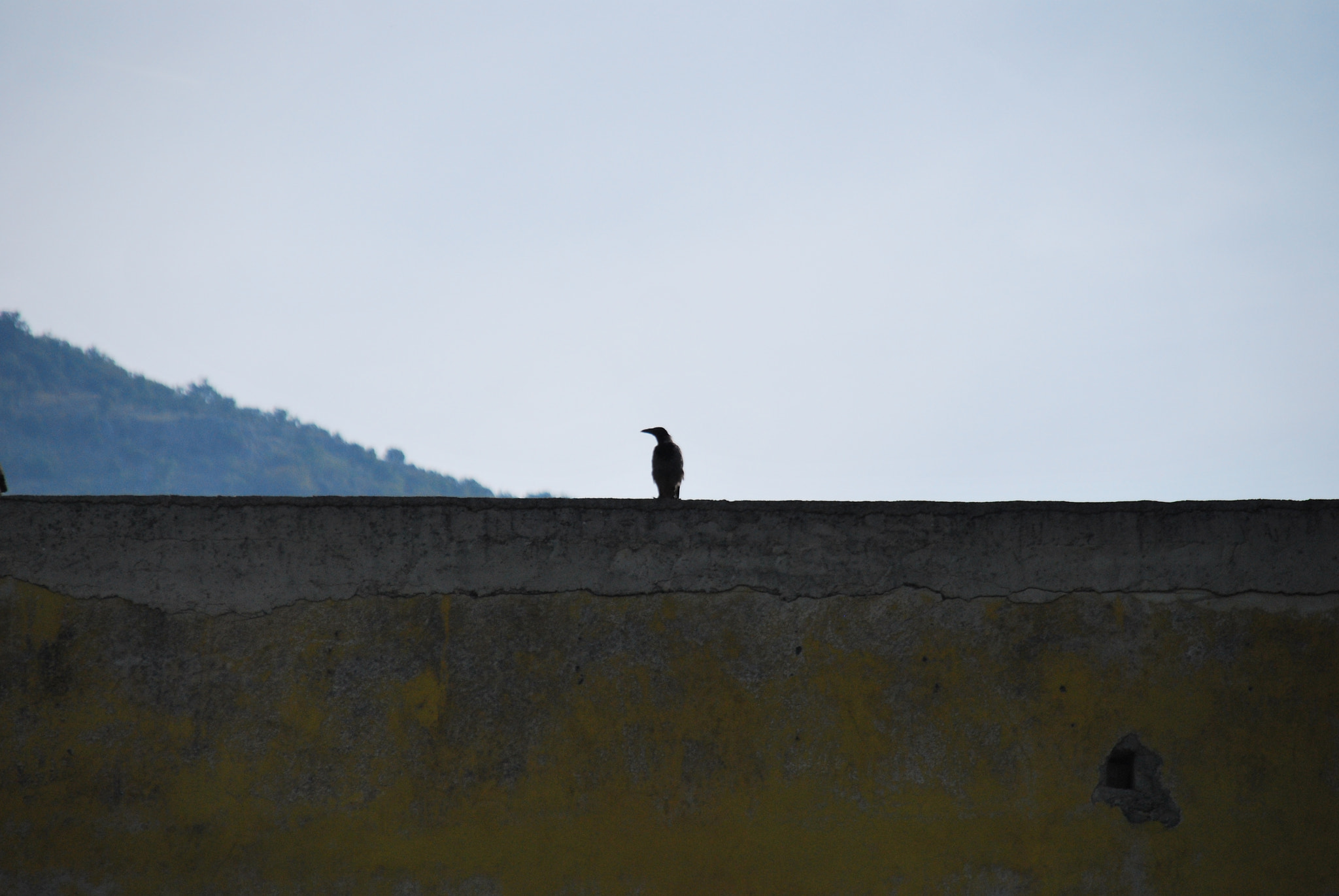 Sigma 18-200mm F3.5-6.3 DC OS HSM sample photo. Buongiorno! photography