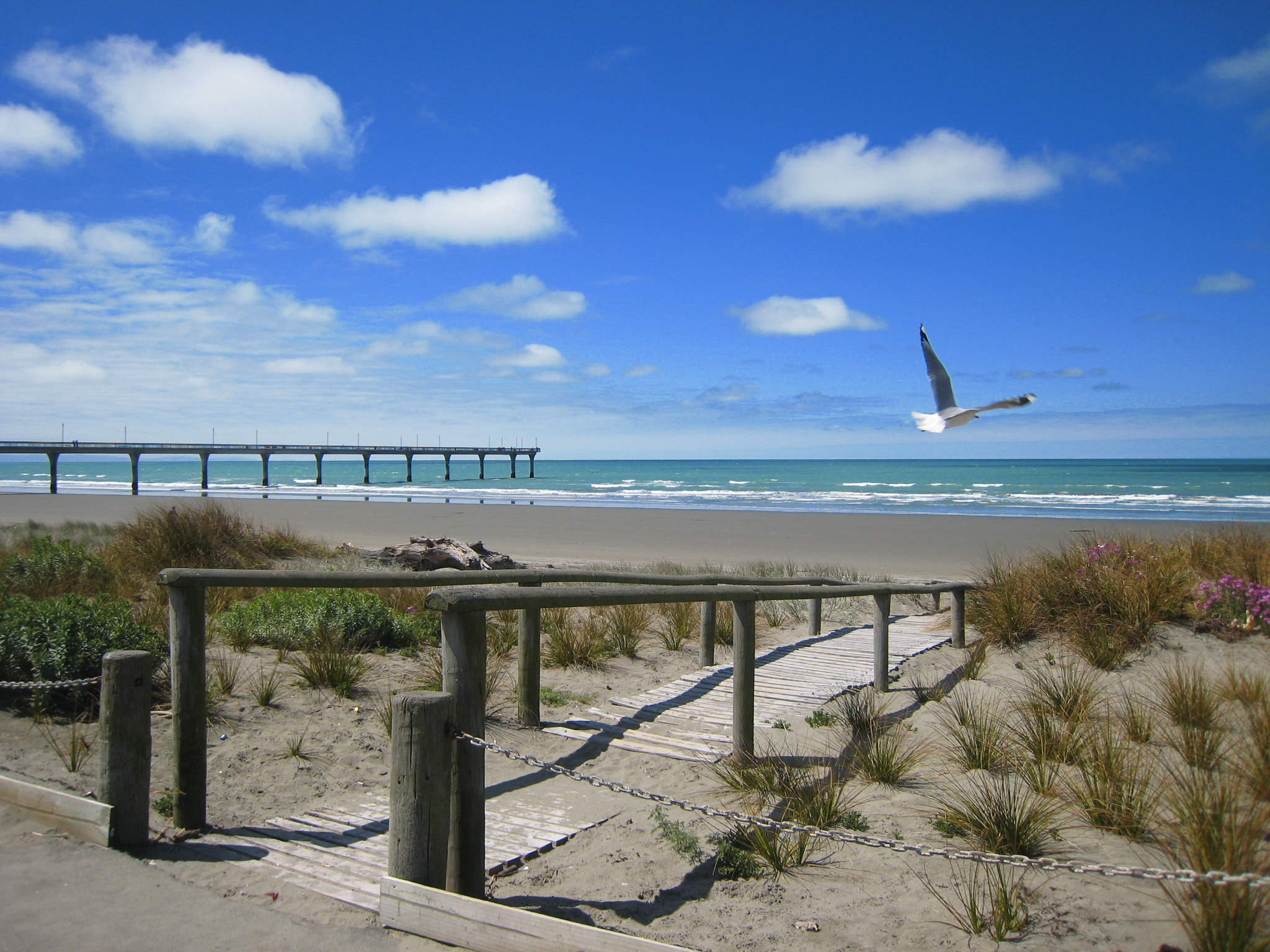 Canon DIGITAL IXUS 850 IS sample photo. New brighton beach south island photography