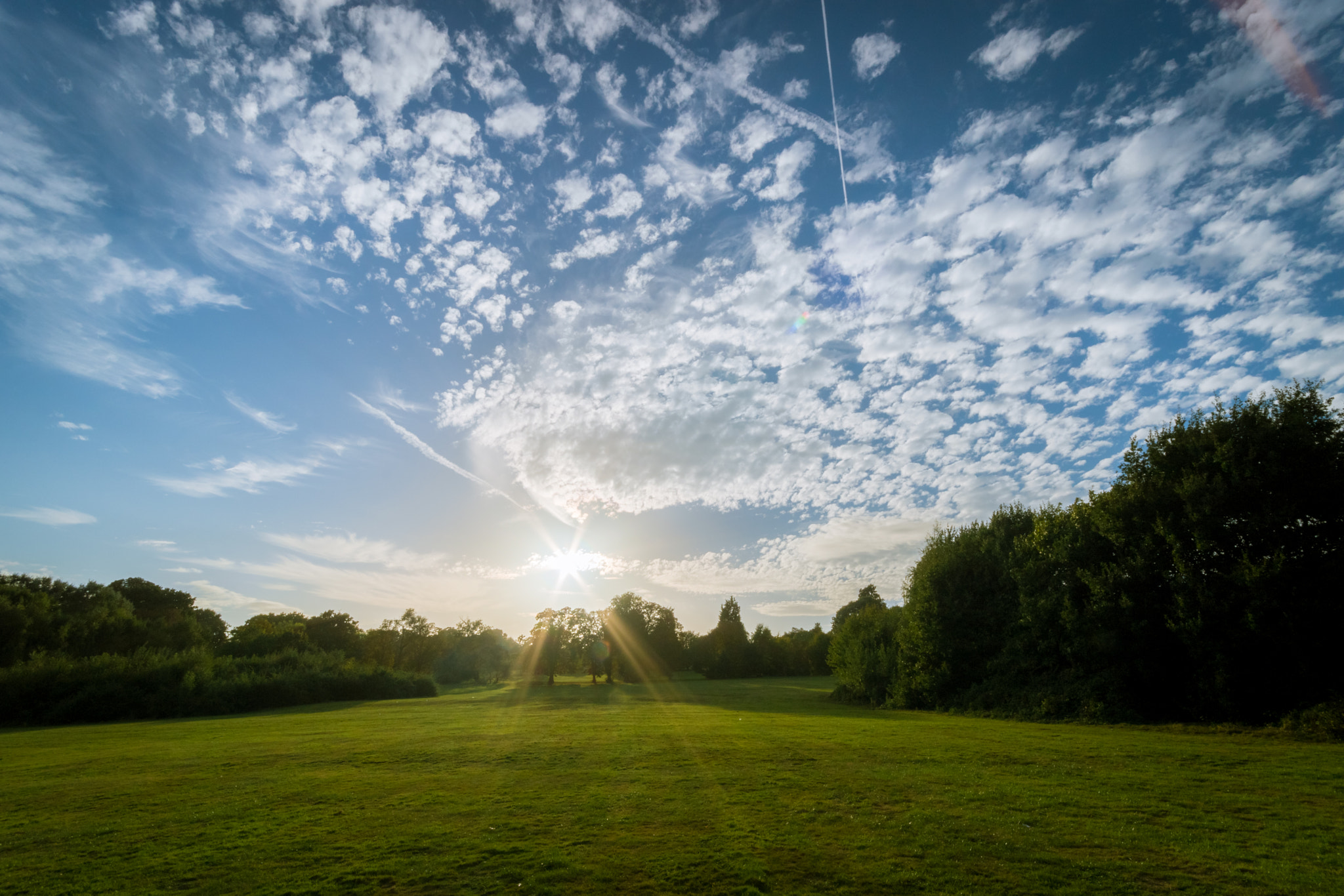 Canon EOS 760D (EOS Rebel T6s / EOS 8000D) + Sigma 10-20mm F4-5.6 EX DC HSM sample photo. Why i live in zone 5 photography