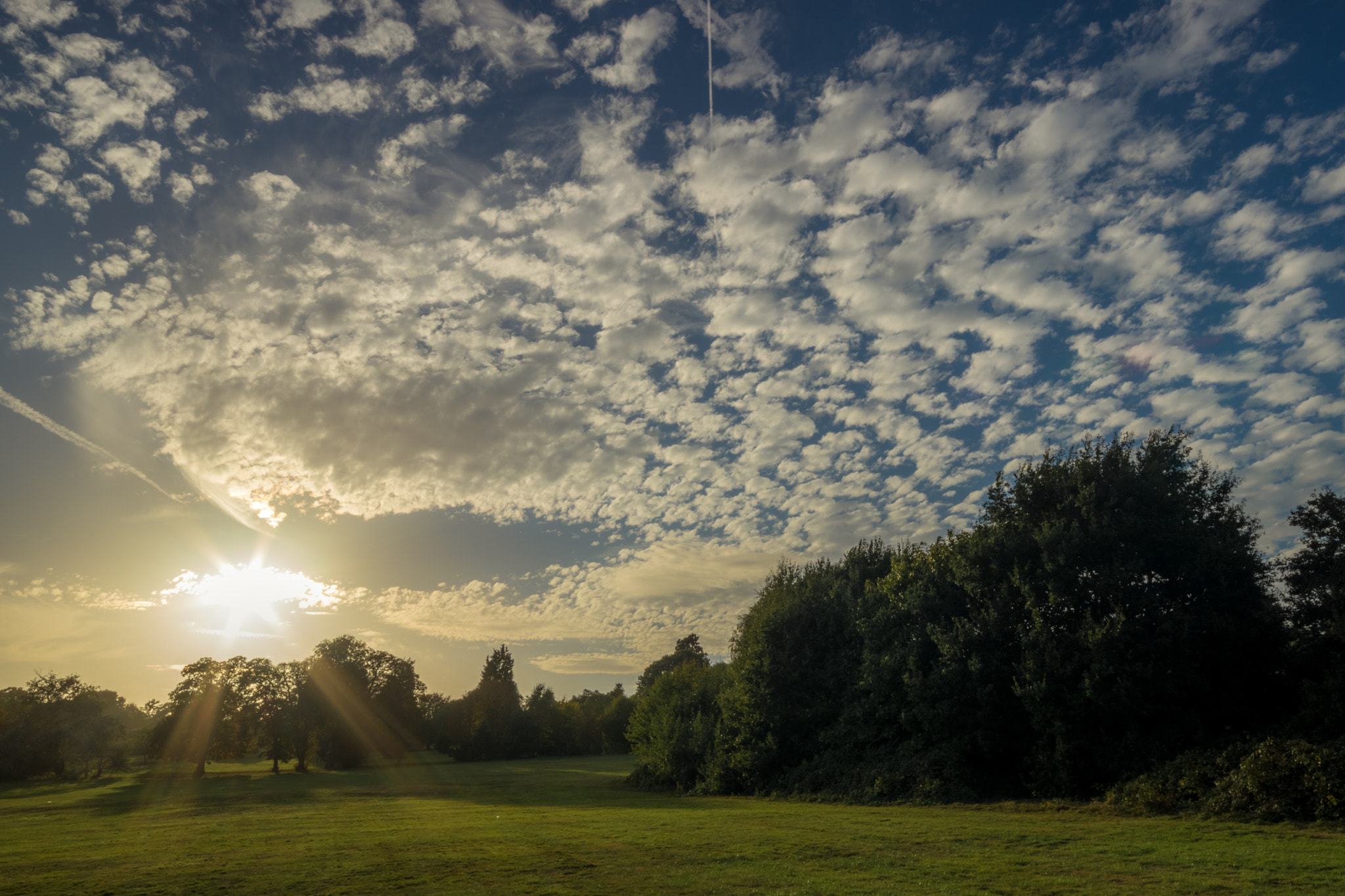 Canon EOS 760D (EOS Rebel T6s / EOS 8000D) + Sigma 10-20mm F4-5.6 EX DC HSM sample photo. Why i live in zone 5 photography